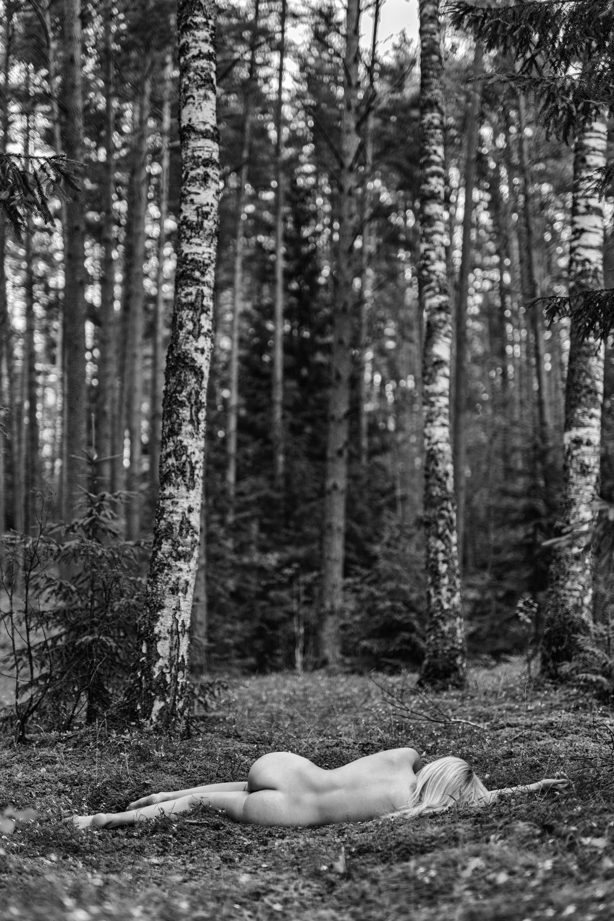 Miškas, moteris, nuoga, samana, Darius Baltakys