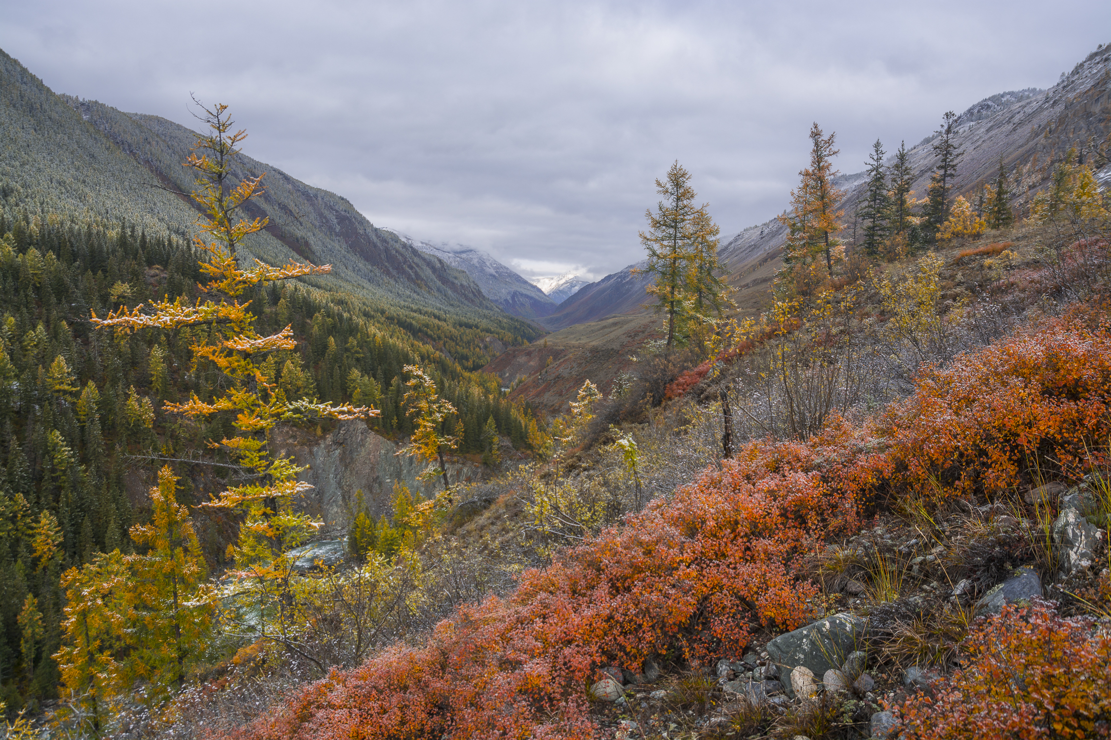 россия, горный алтай, осень, осенние краски, каньон реки чуя, склон каньона, утро, Поляков Андрей