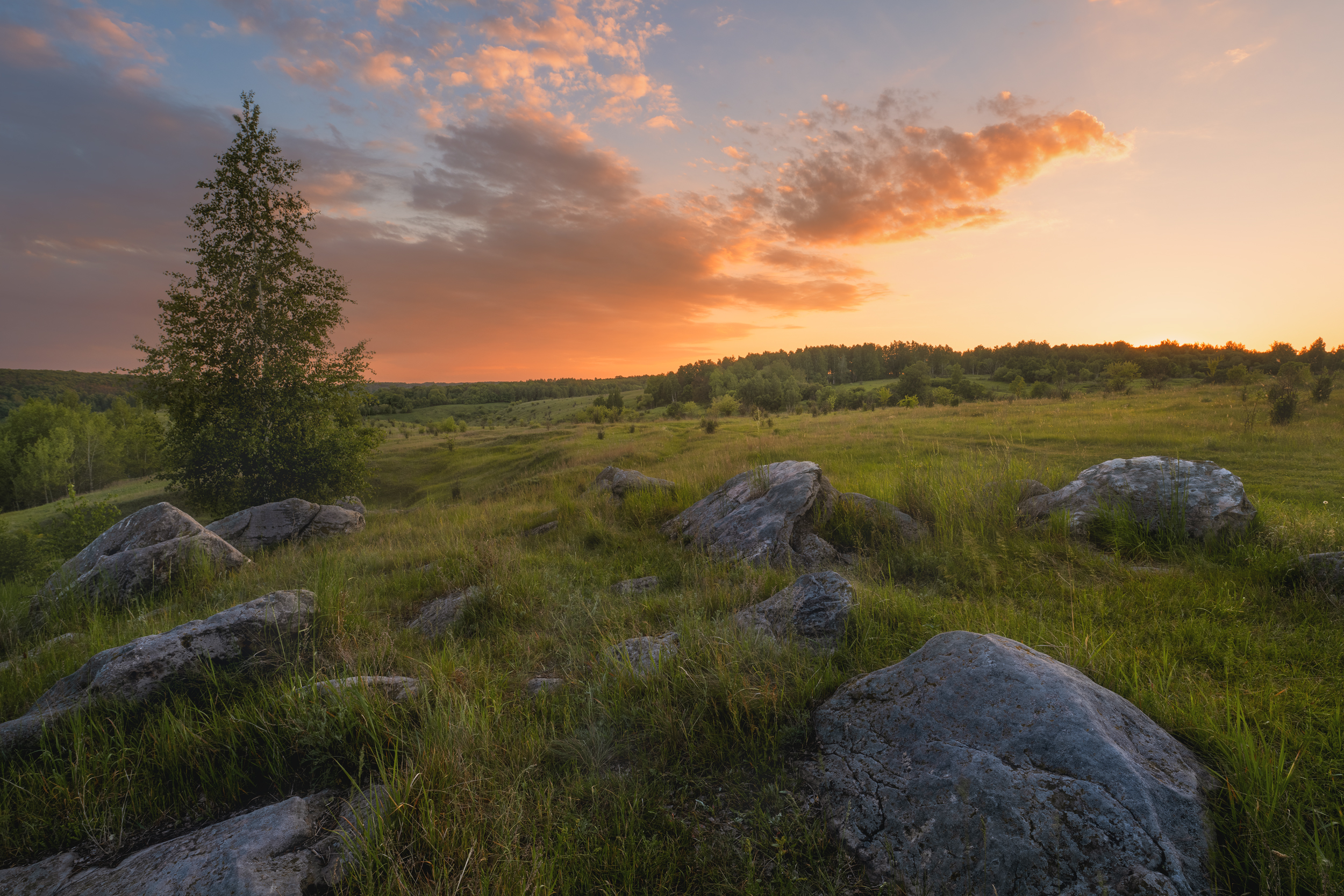, Аброскин Игорь