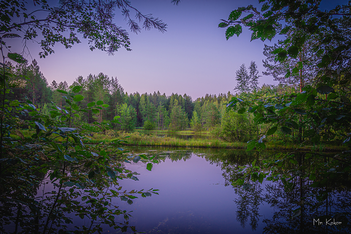 , Кокорин Алексей