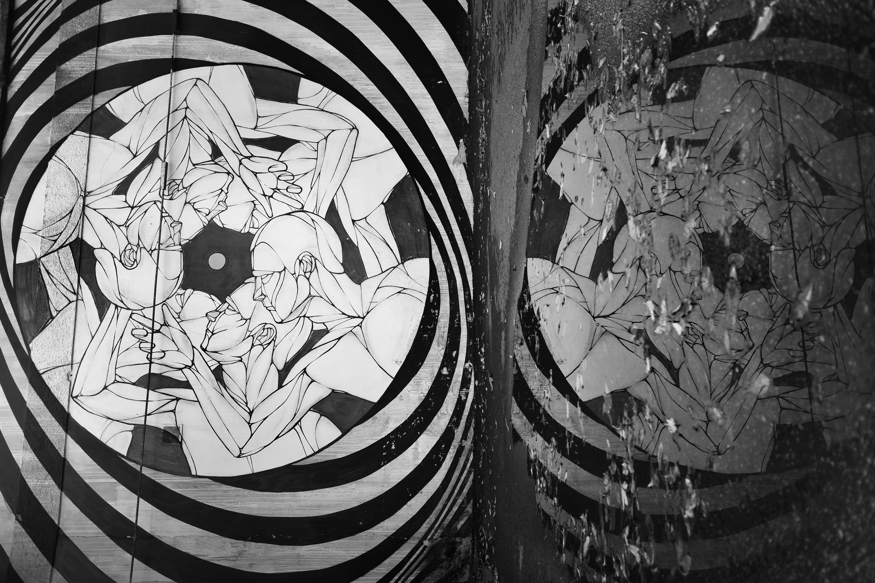 отражение, действительности, давление, Зорин Миша