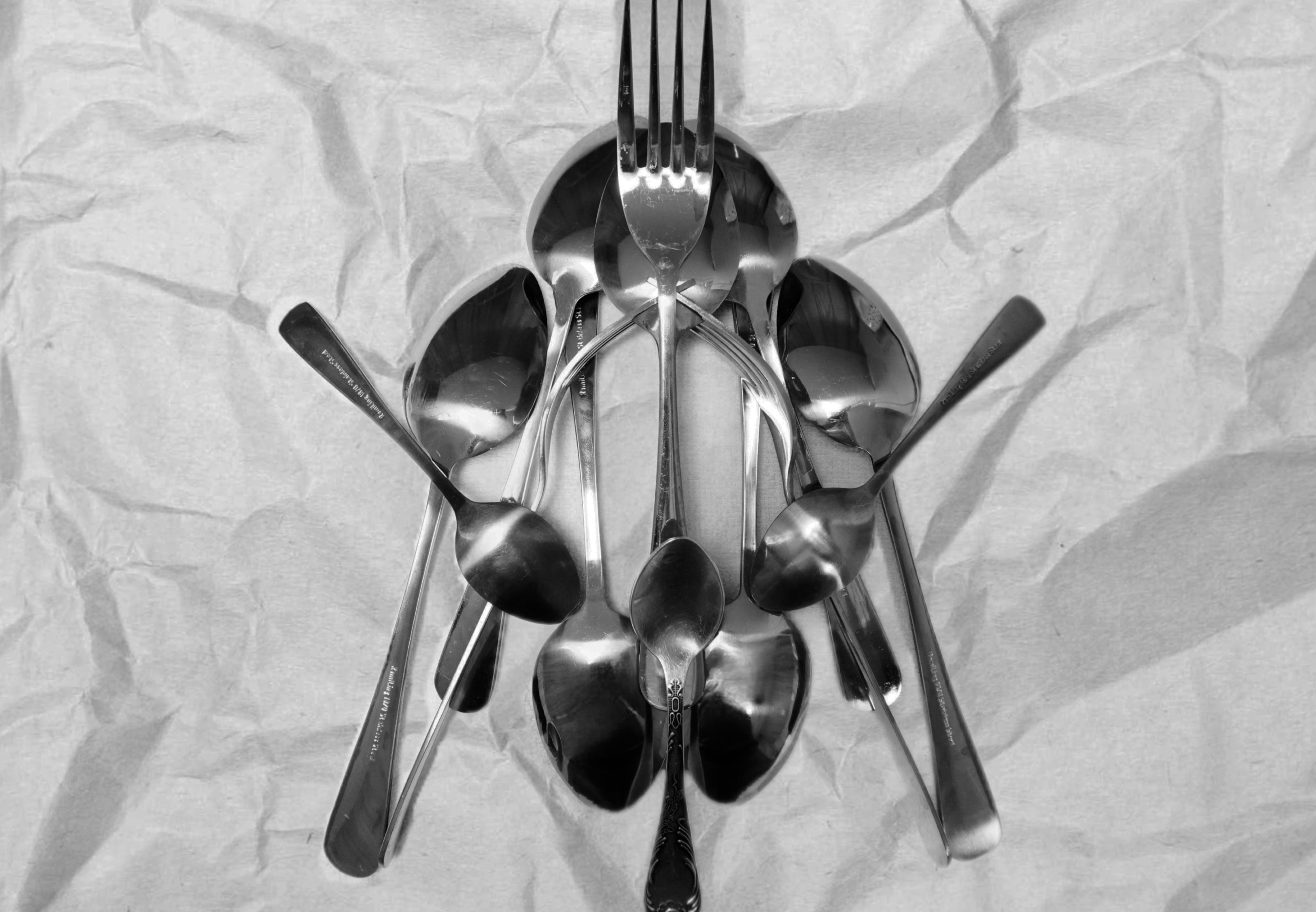 , Орлова Ксения