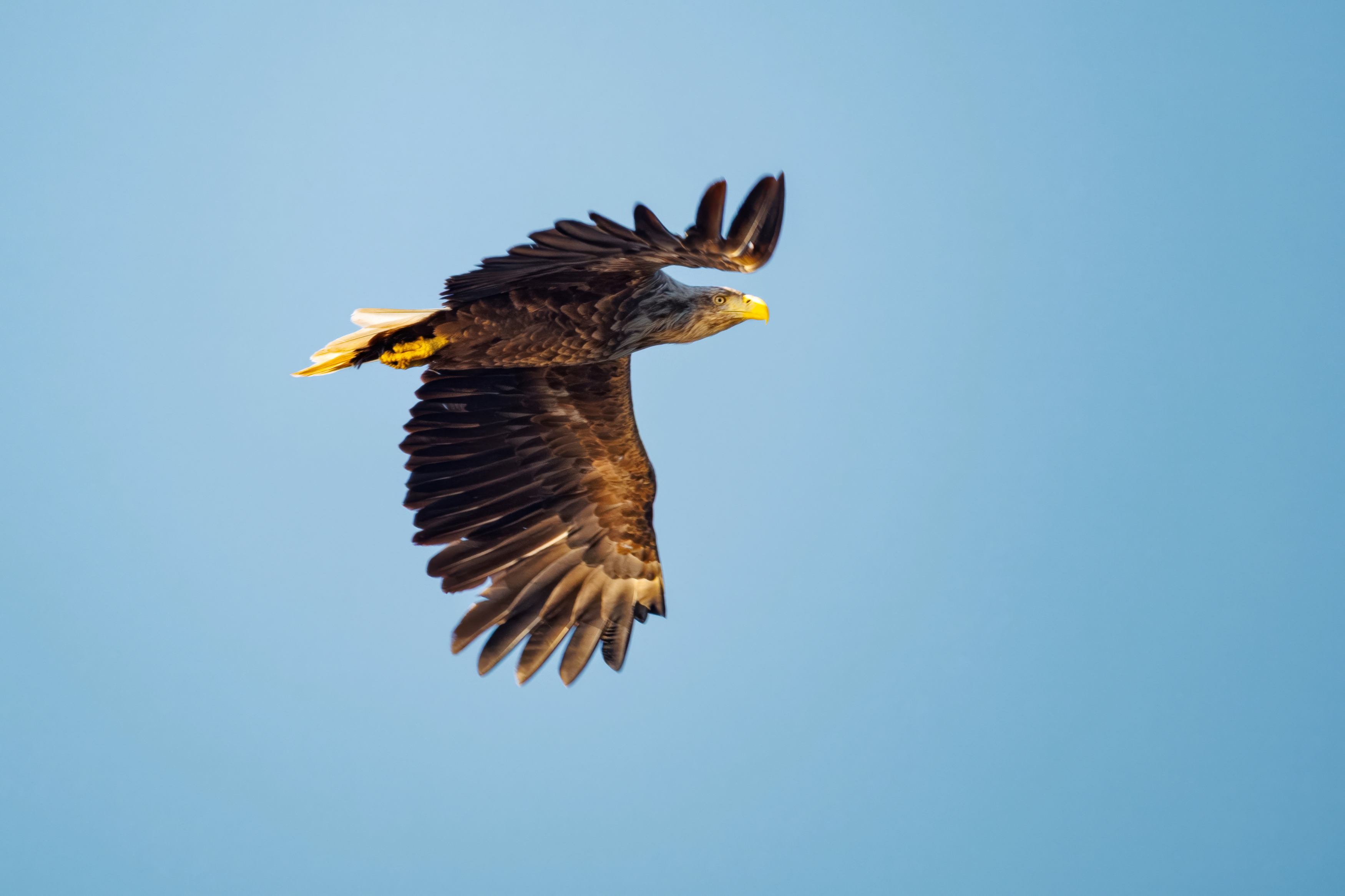 , ssmirs Сергей