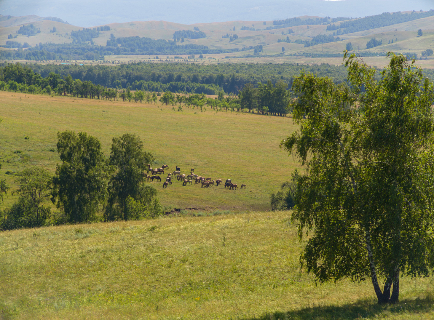 , Шустиков Дмитрий