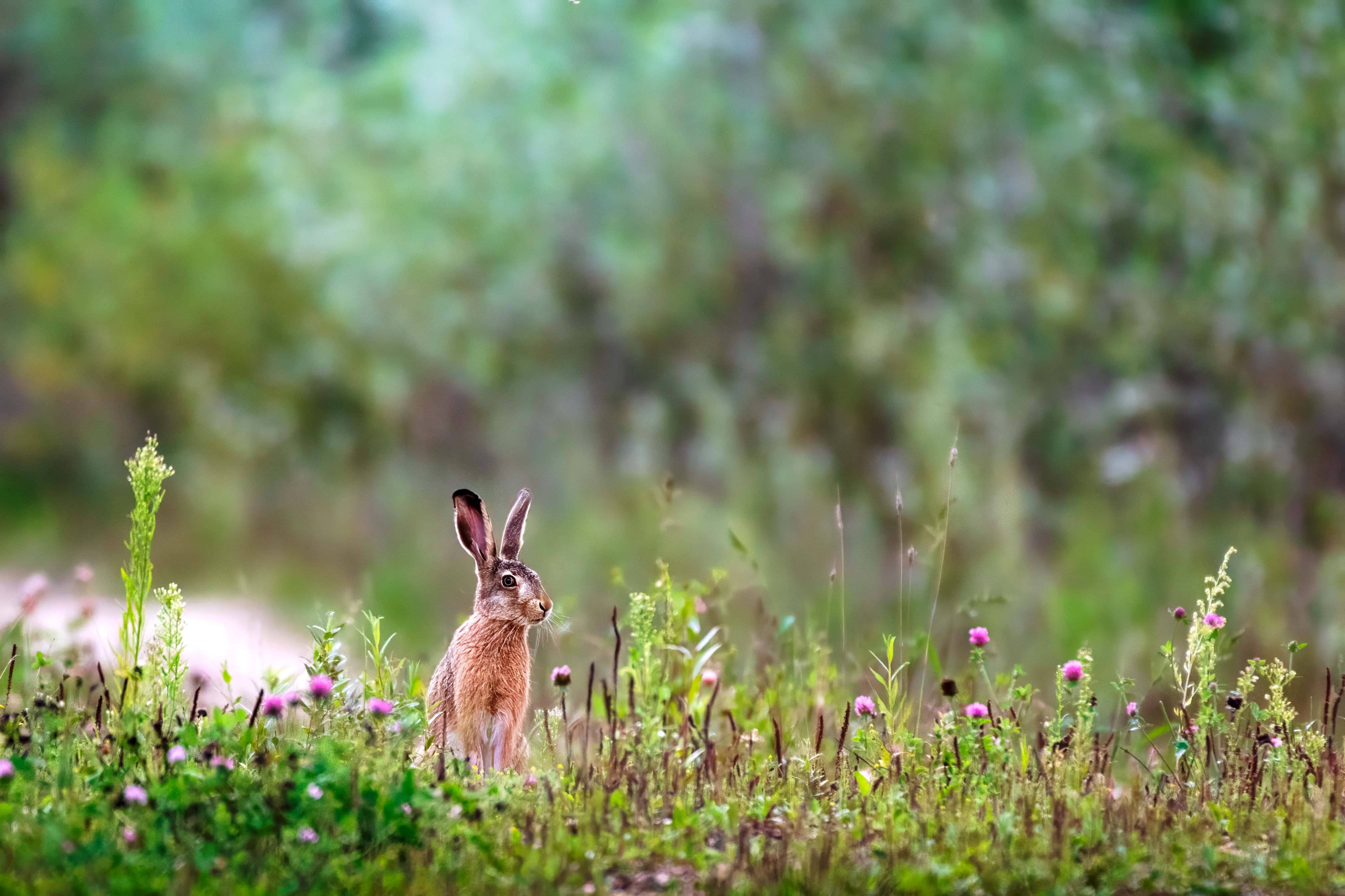 , Павел Ныриков