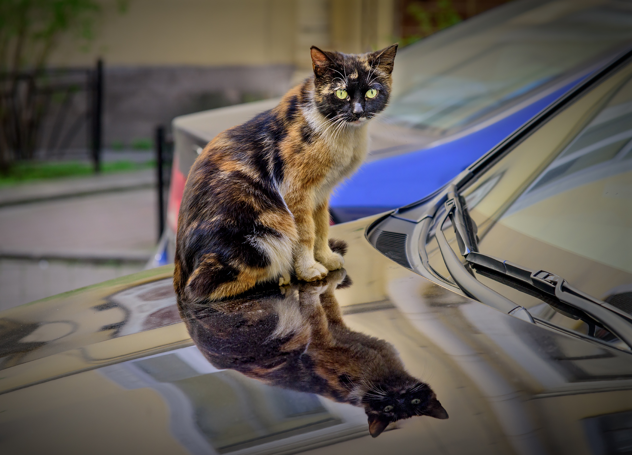 , Юрий Матвеев