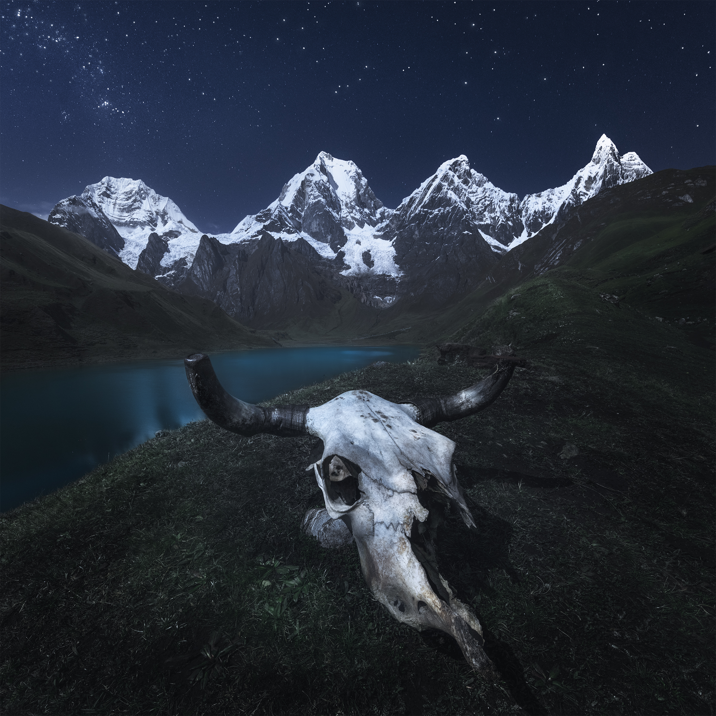 , Политова Анна