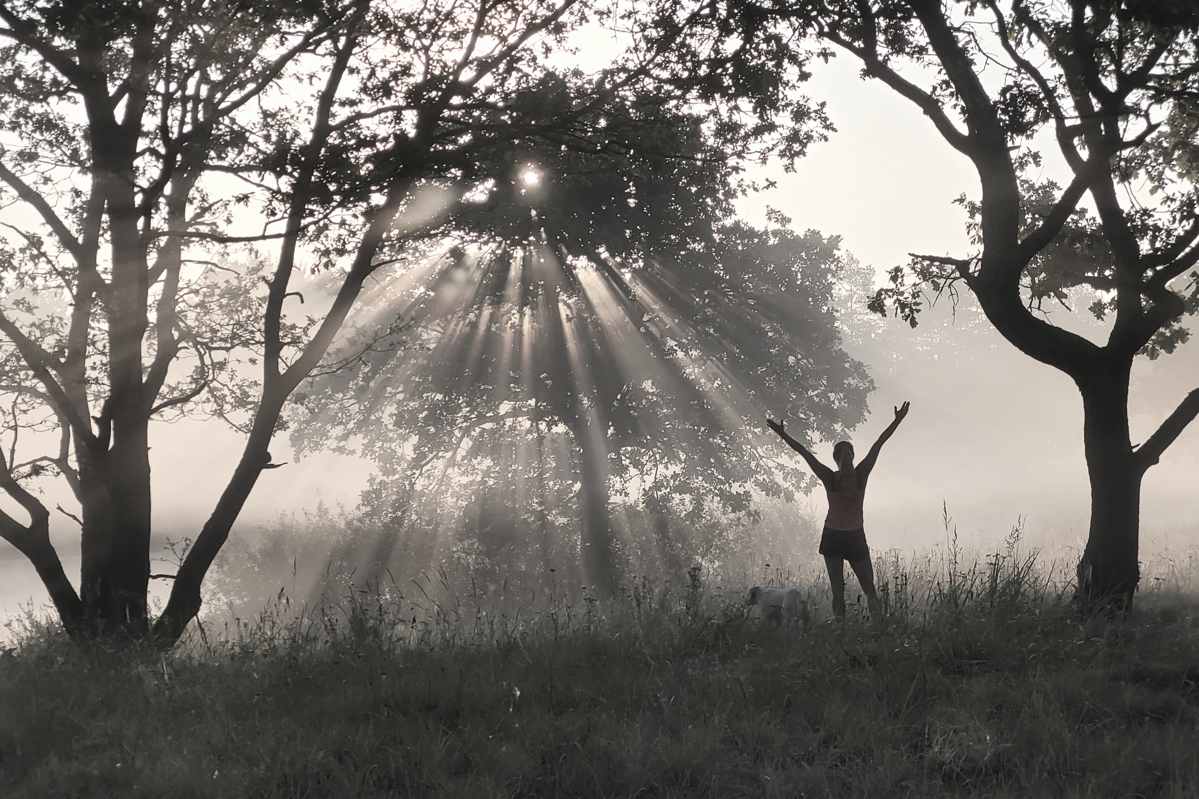 , Шляга Сергей