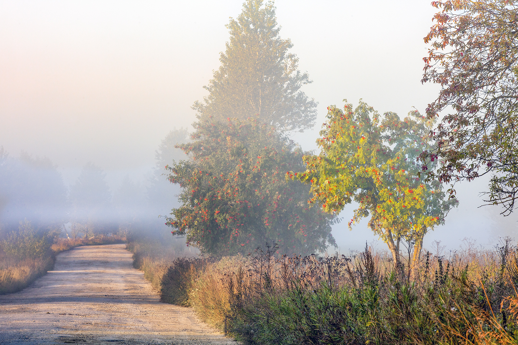 ,  александр михайлов