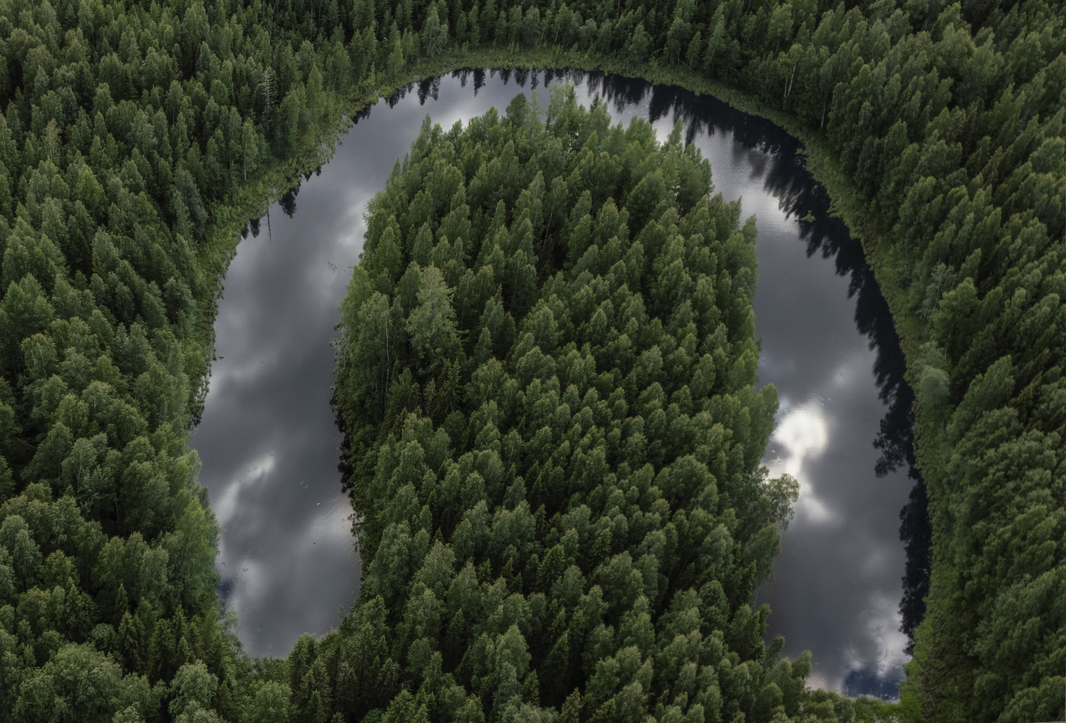 , Татьяна Борисова