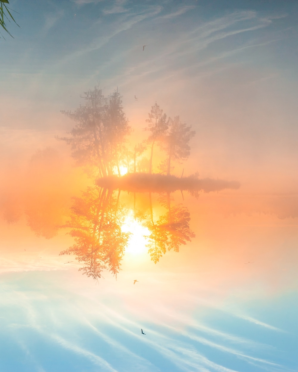 , Петр Косых