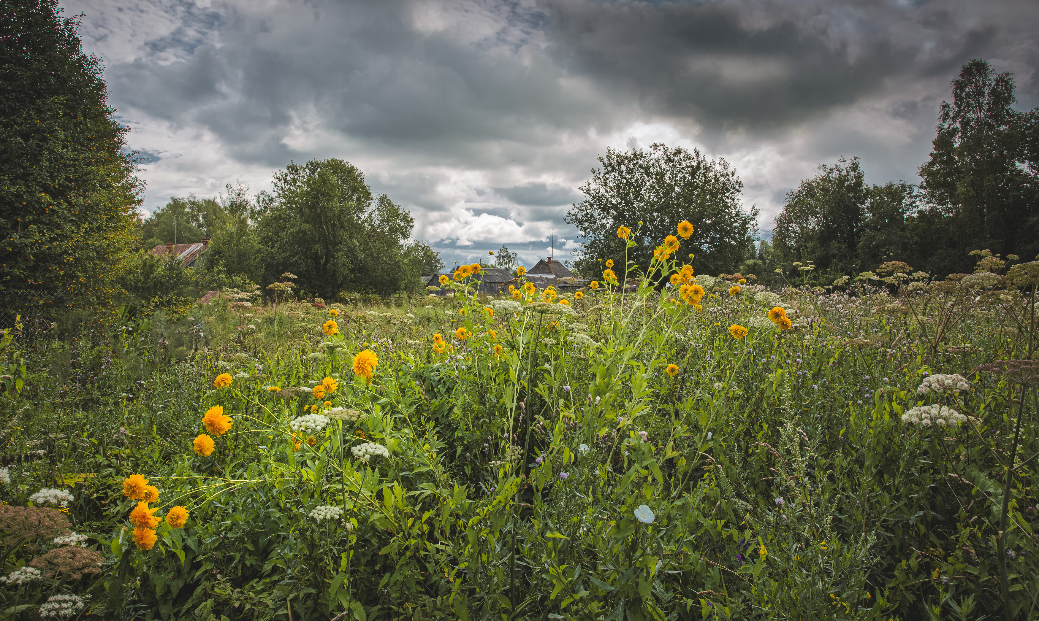 Торбеево гроза дождь, Зеленько Дмитрий