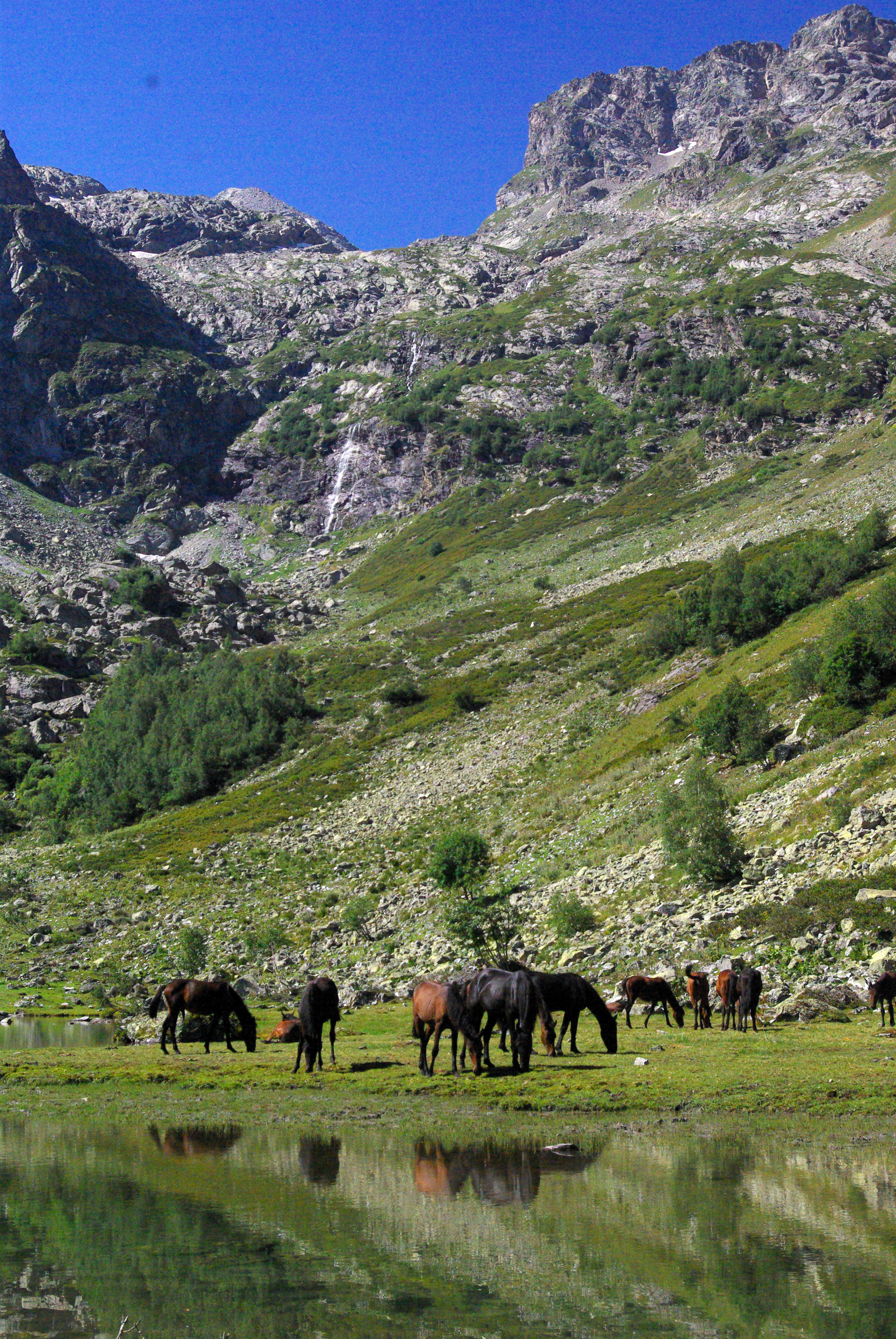 архыз, Андрей Любимов