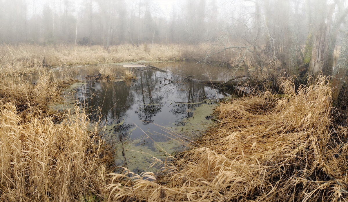 , Сергей Клапишевский