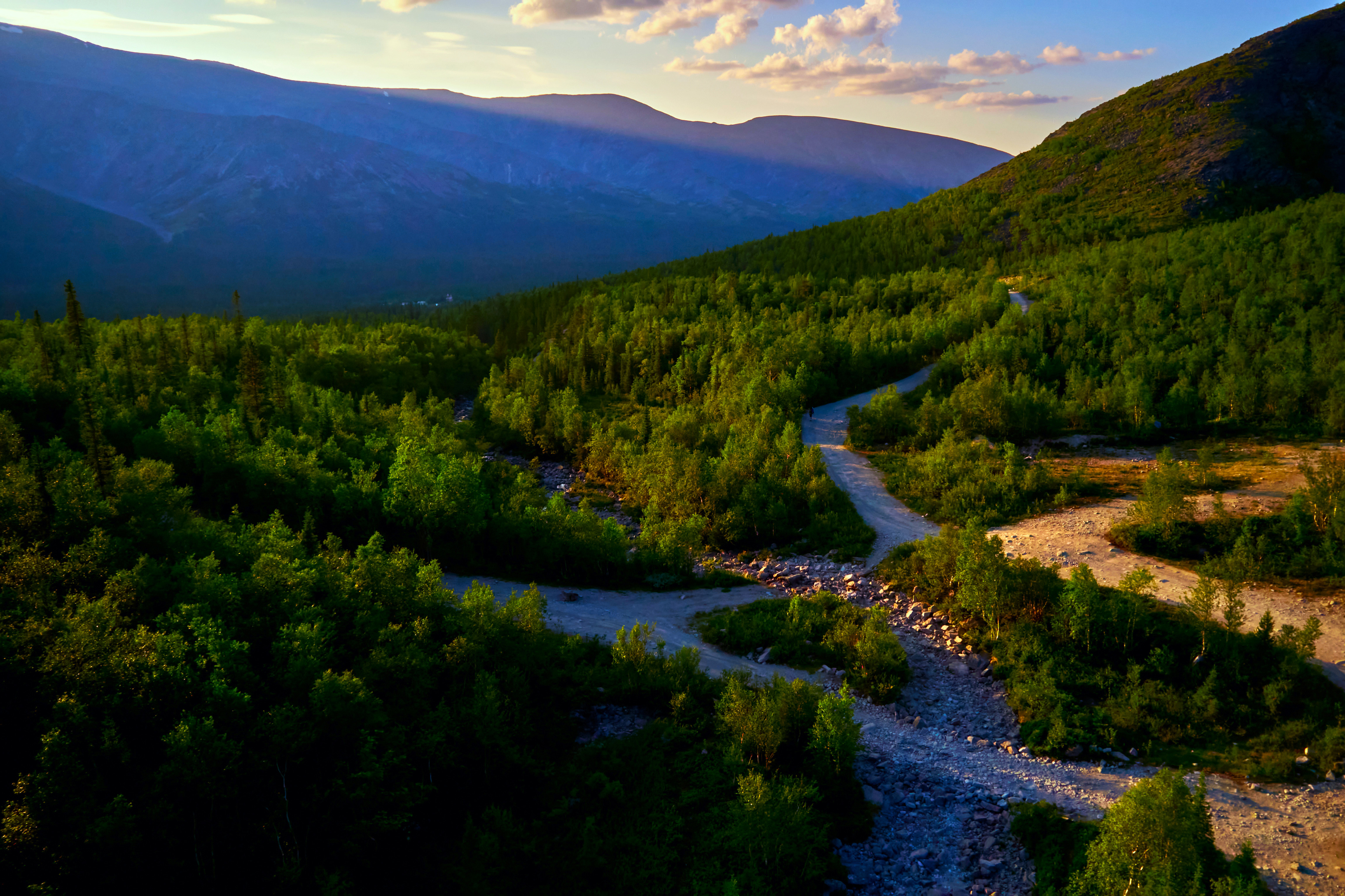 , TOTORO Алексеевич