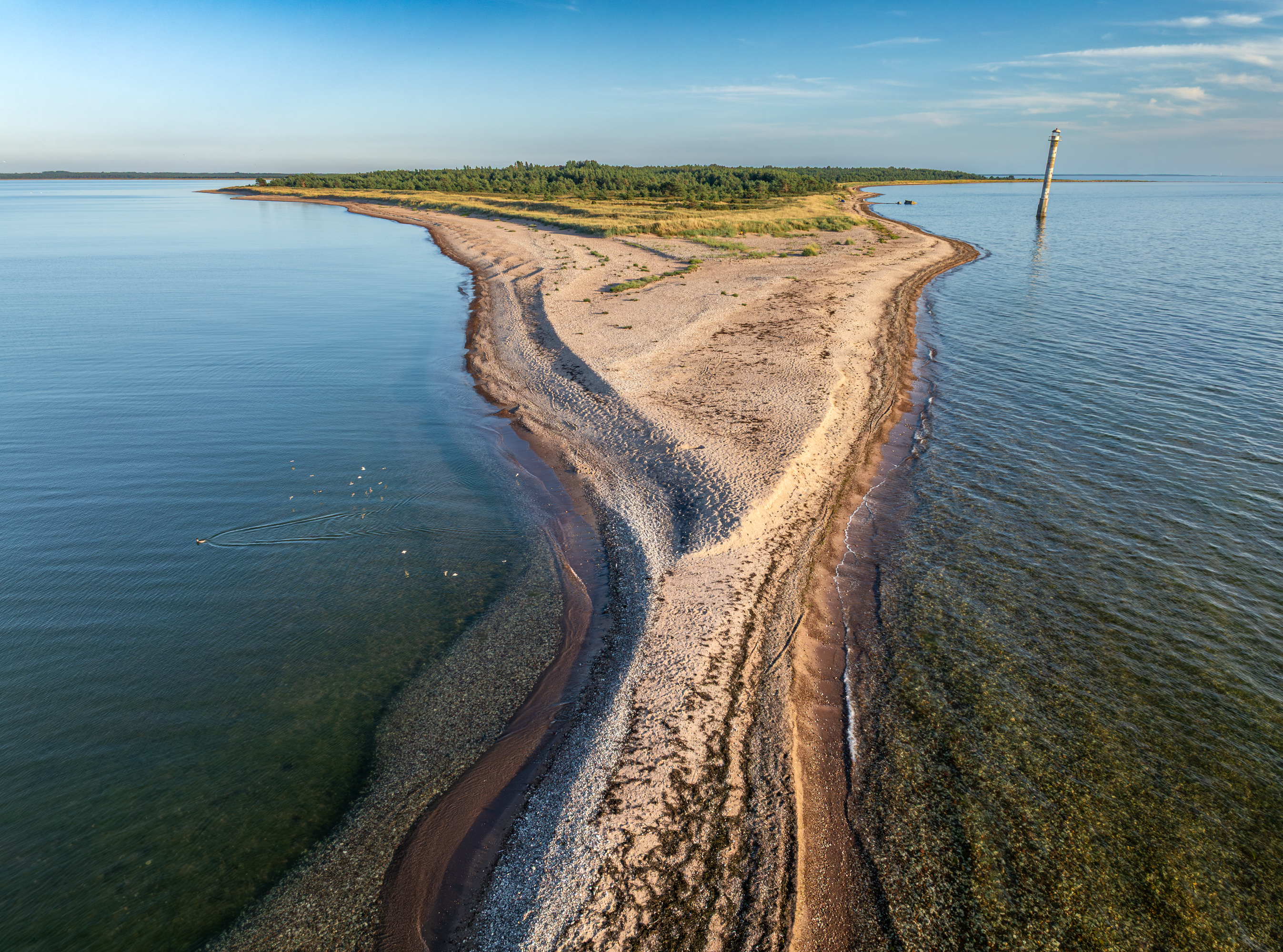 , Гордон Николай