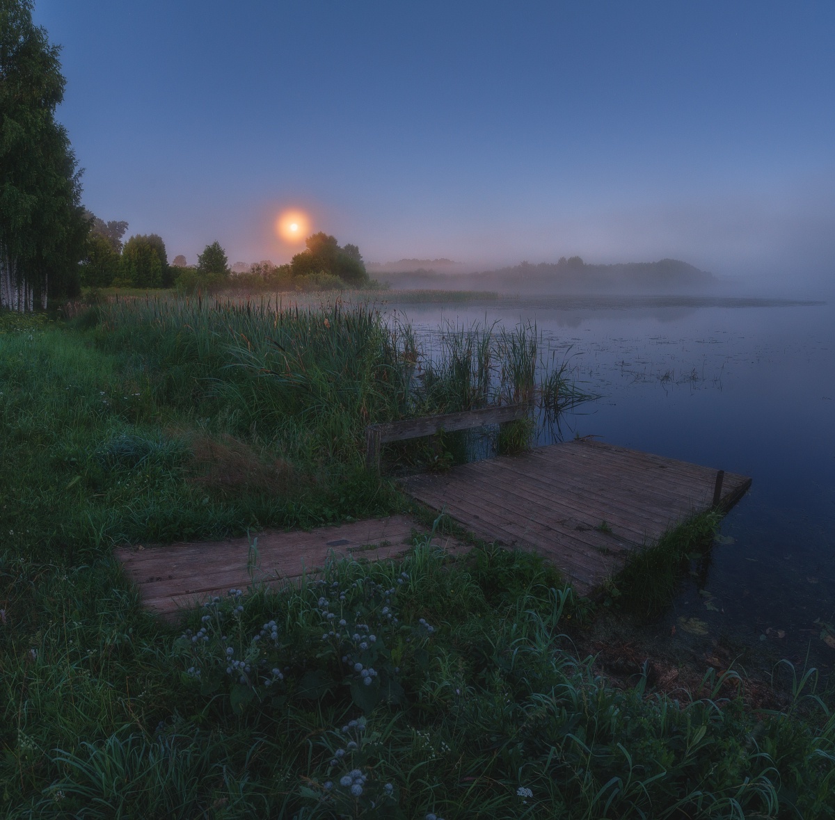 , Михаил Устюжанин