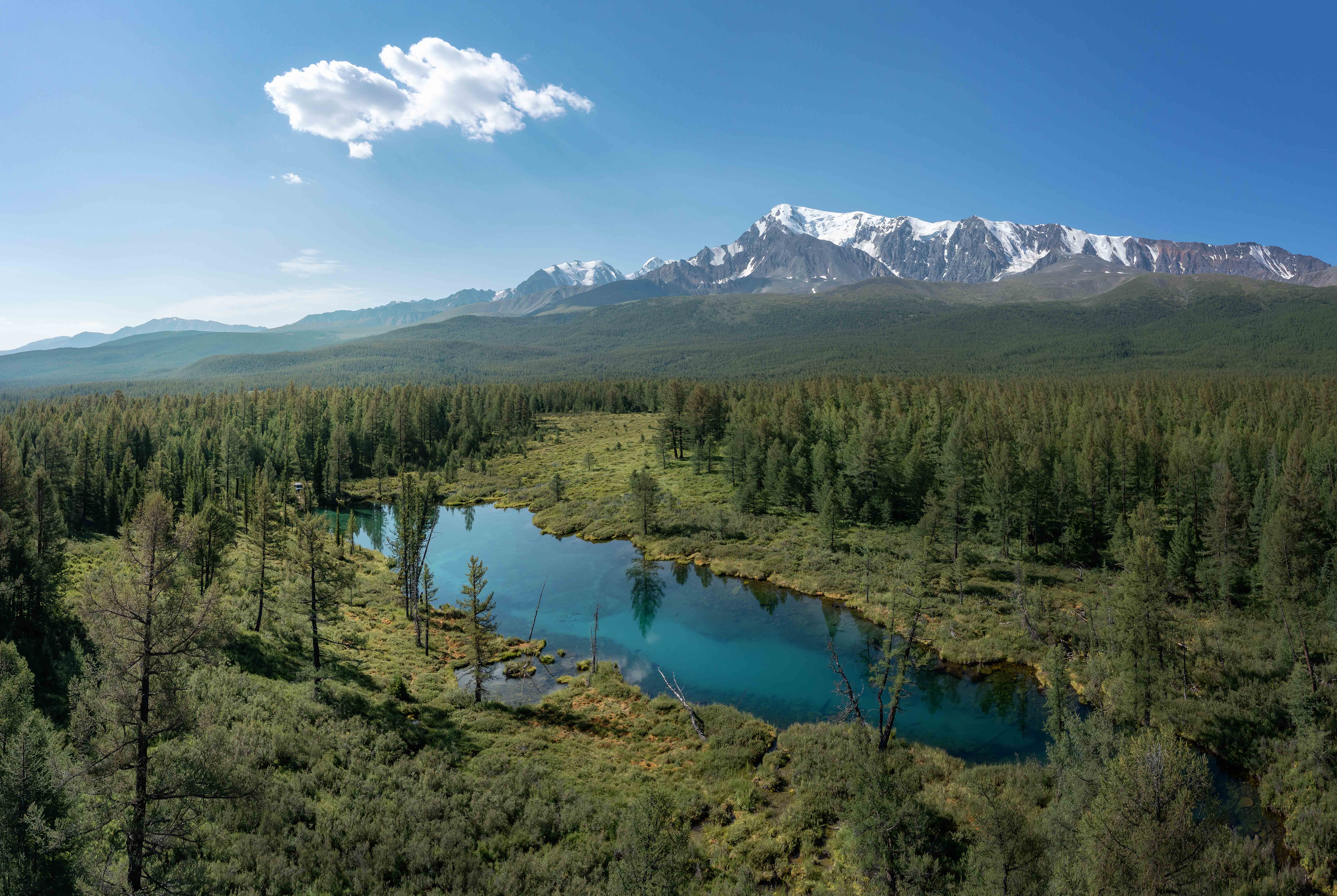 , Важенин Евгений