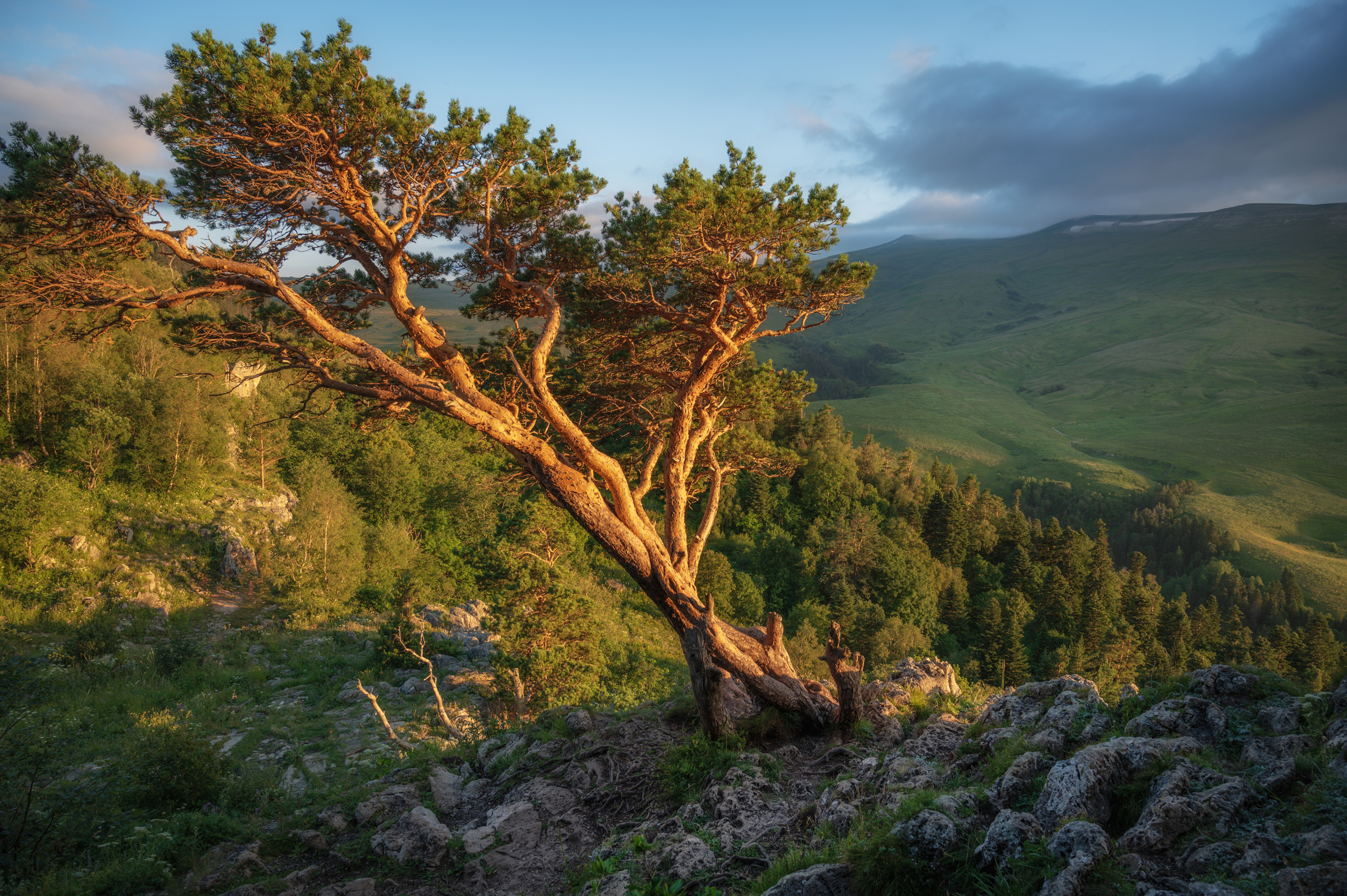 , Сергей Тихомиров