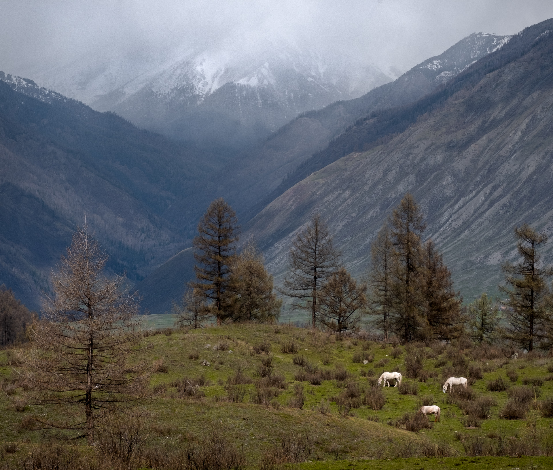 , Коротеев Вадим