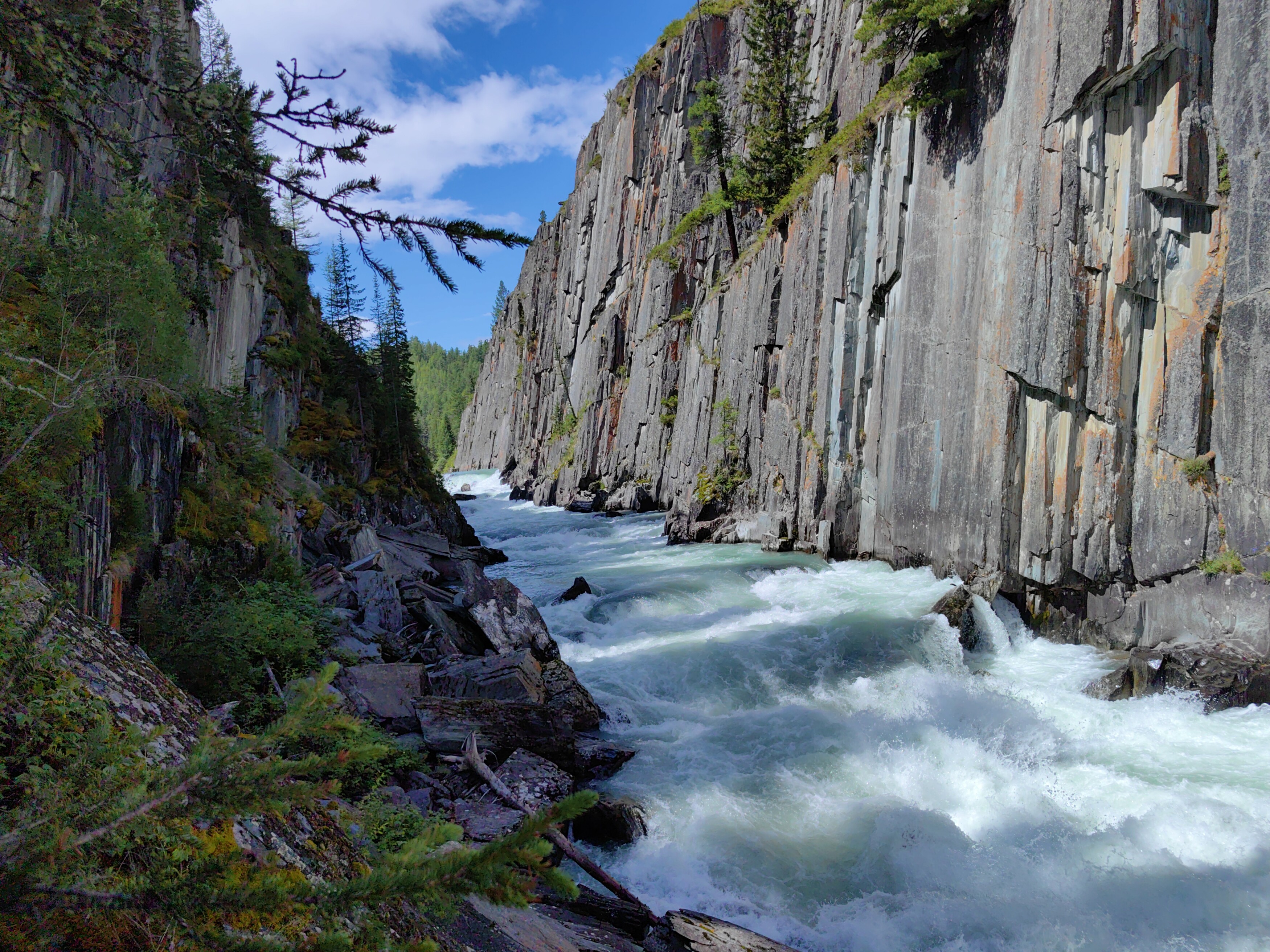 природа,алтай,река коксу, Козлова Галина