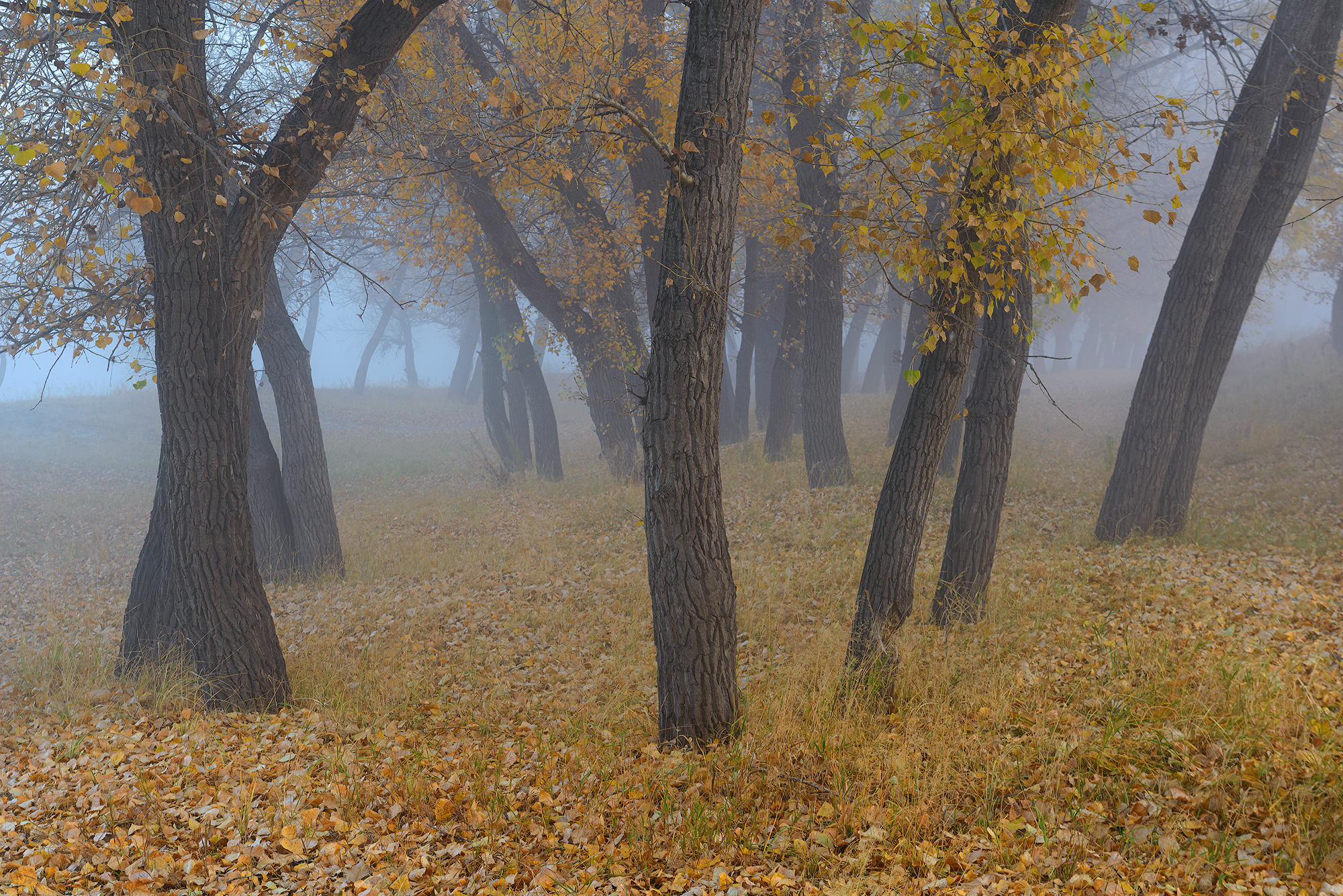 , Эдуард Кутыгин