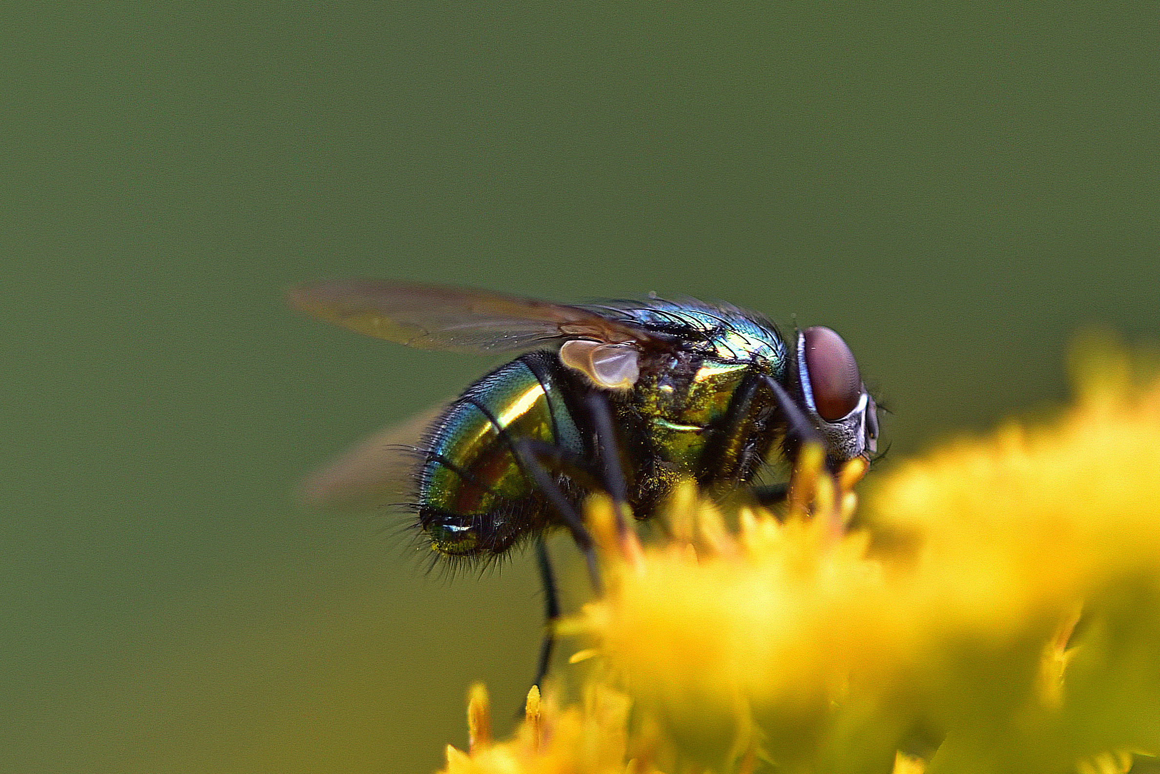 , Корнейчук Игорь