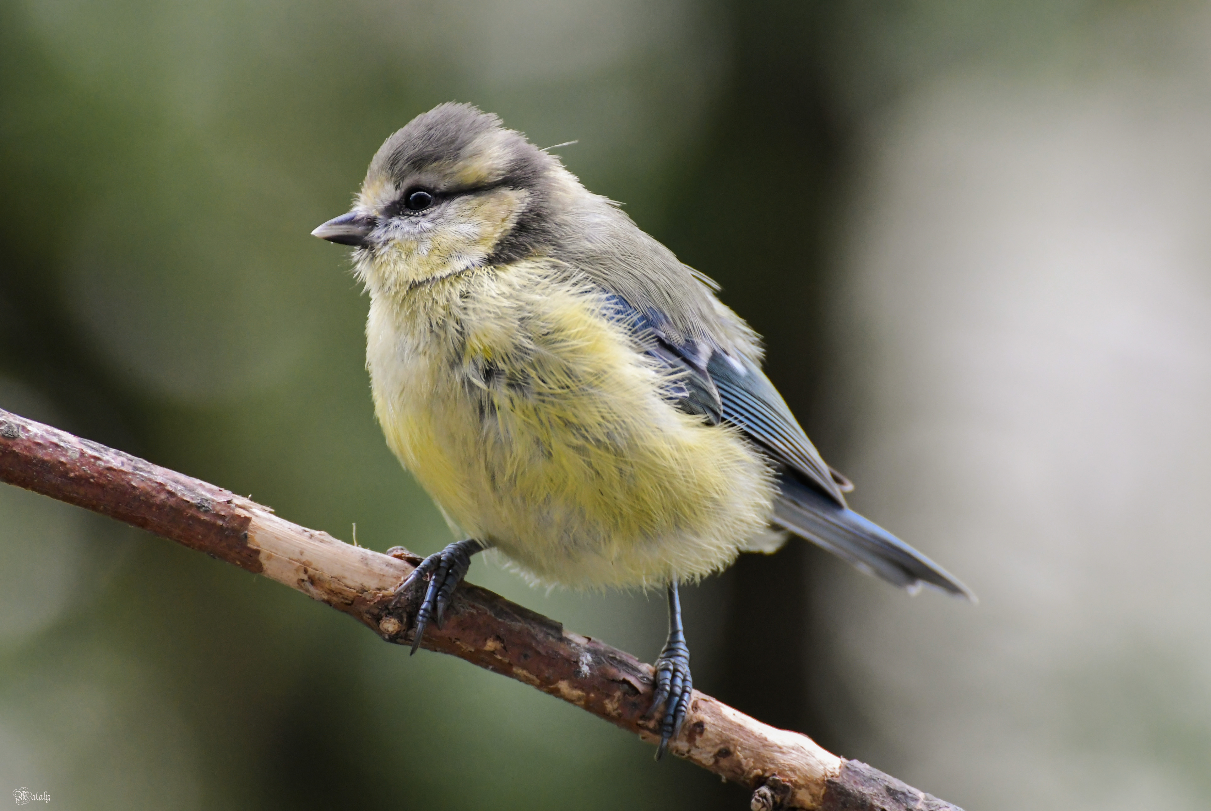 , Наталья Екимова