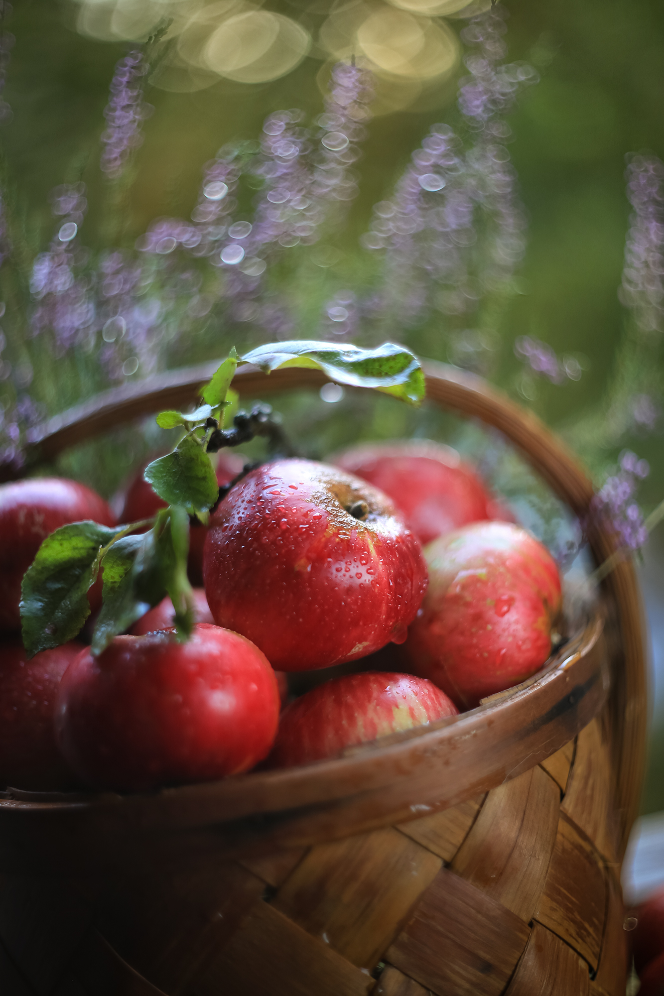 яблочный спас, яблоки, вереск, корзинка, лето, боке, гелиос 77-m,беларусь,ирина горюкина, доброта, красота, ИРИНА ГОРЮКИНА