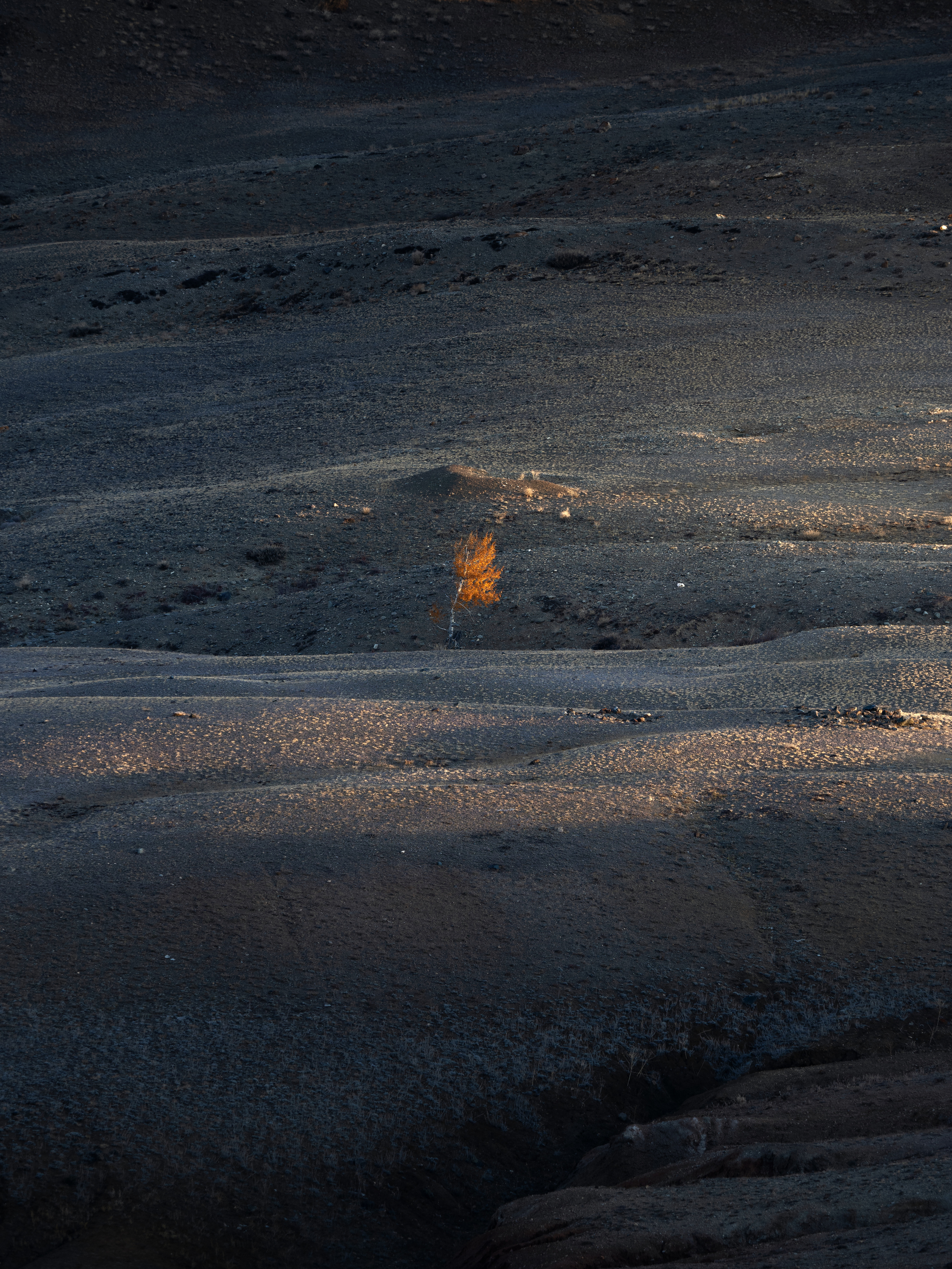 , Мозжухин Максим