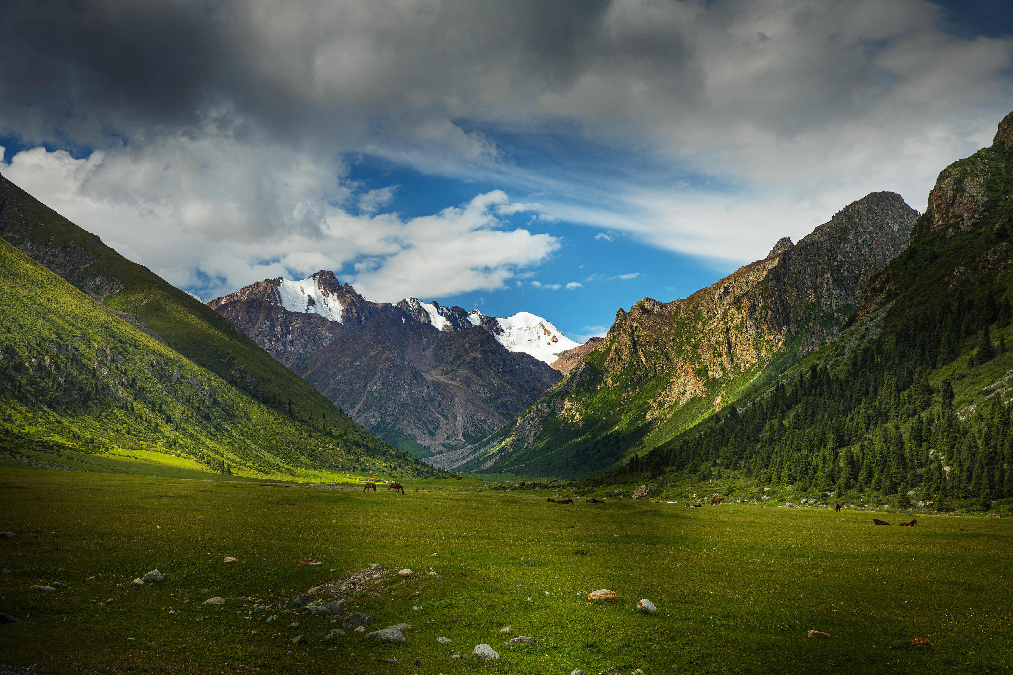 abashkin sergey, абашкин сергей, природа, forest, nature, пейзаж, тургень-аксу, горы, лошадь, кыргызстан, облака,  тяньшань, скалы, киргизия,  перевал, Абашкин Сергей