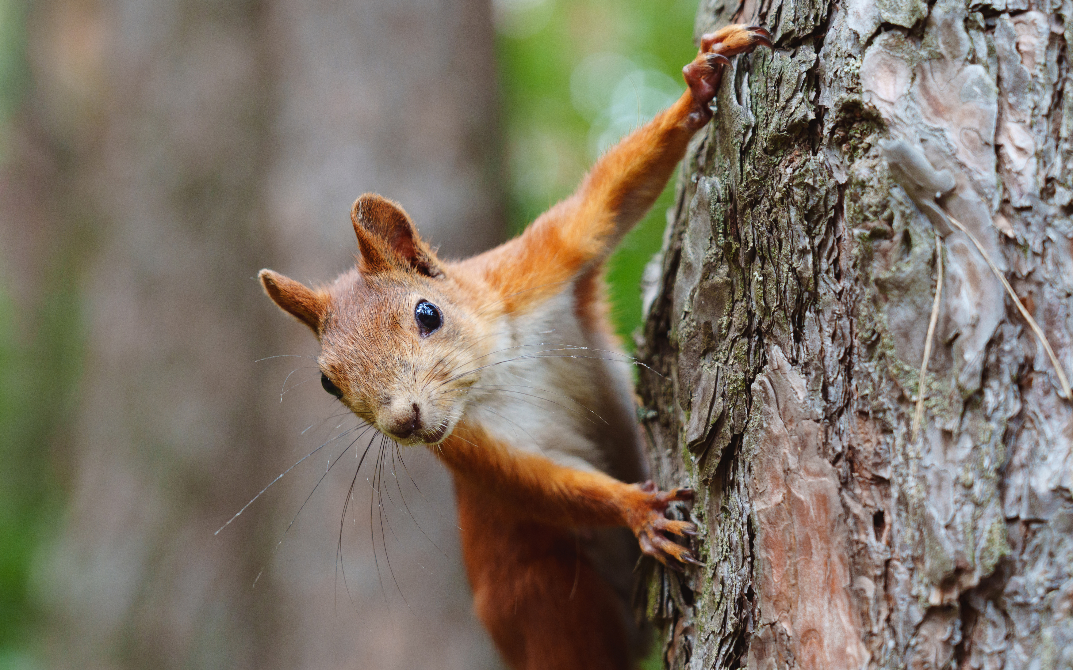, Вертиков Юрий