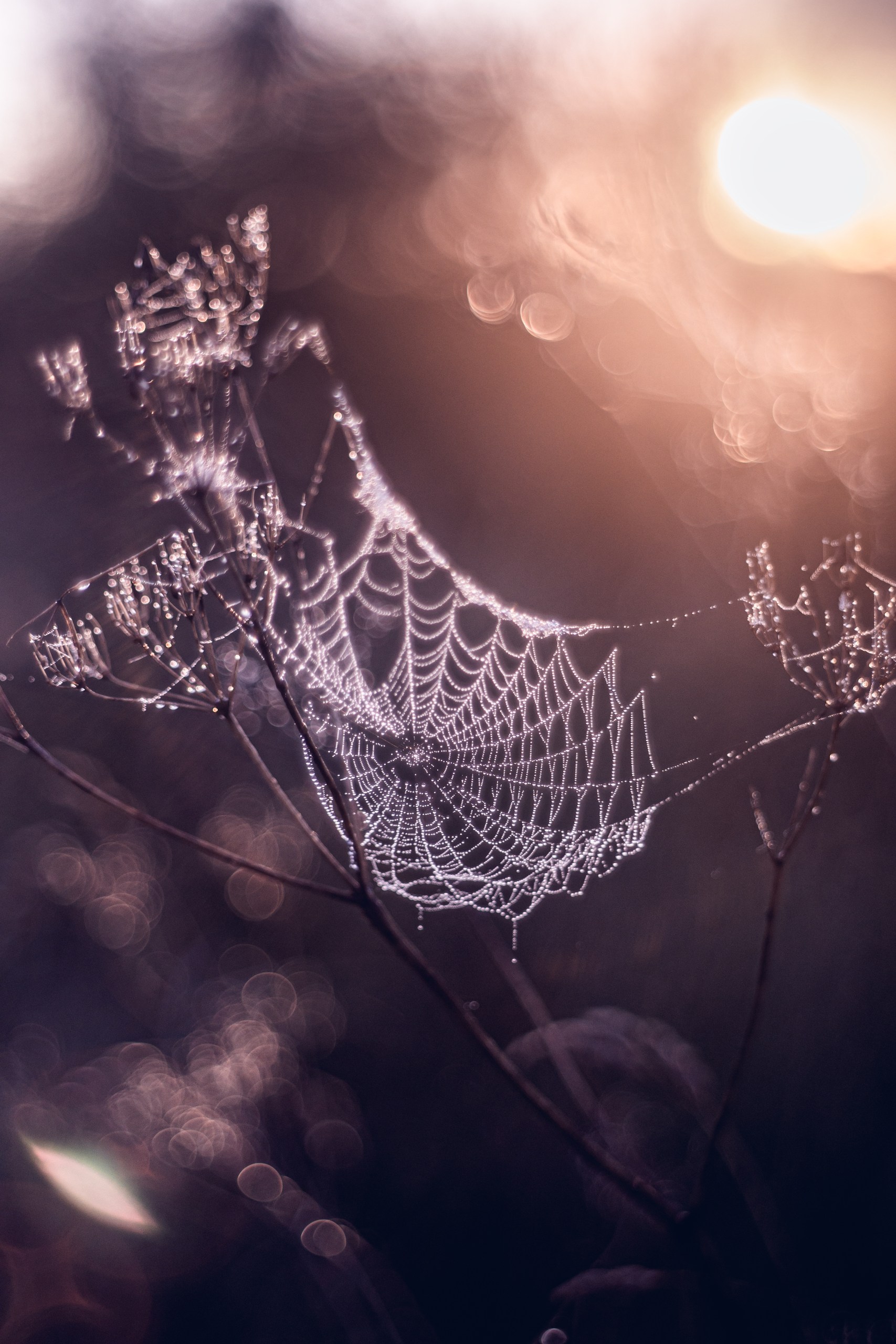 , Сергей Белокуров