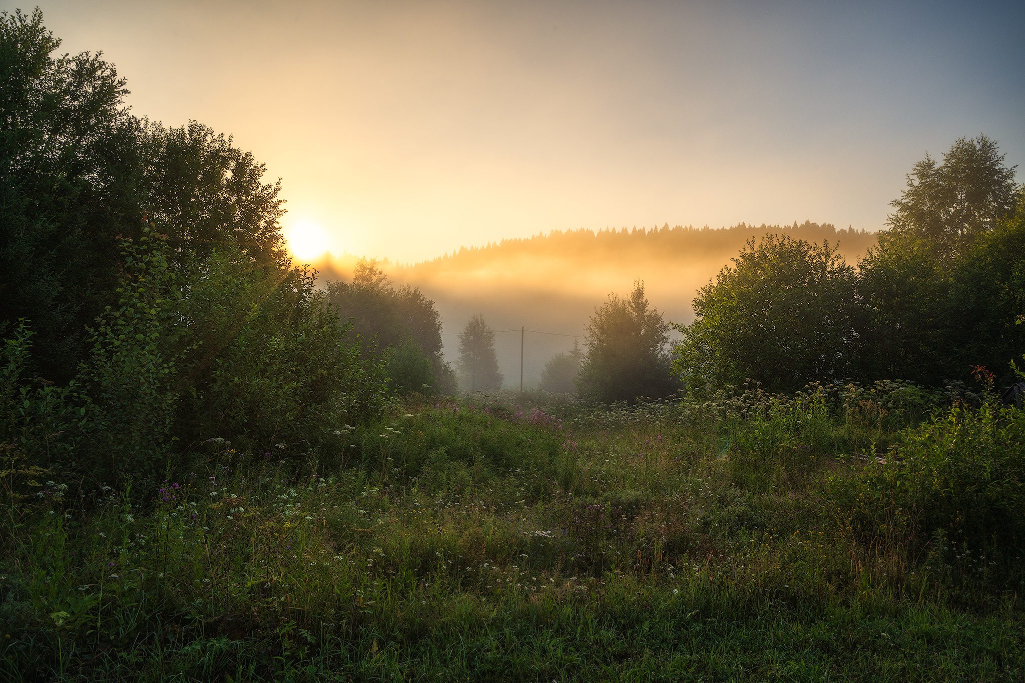, Кузнецов Кирилл