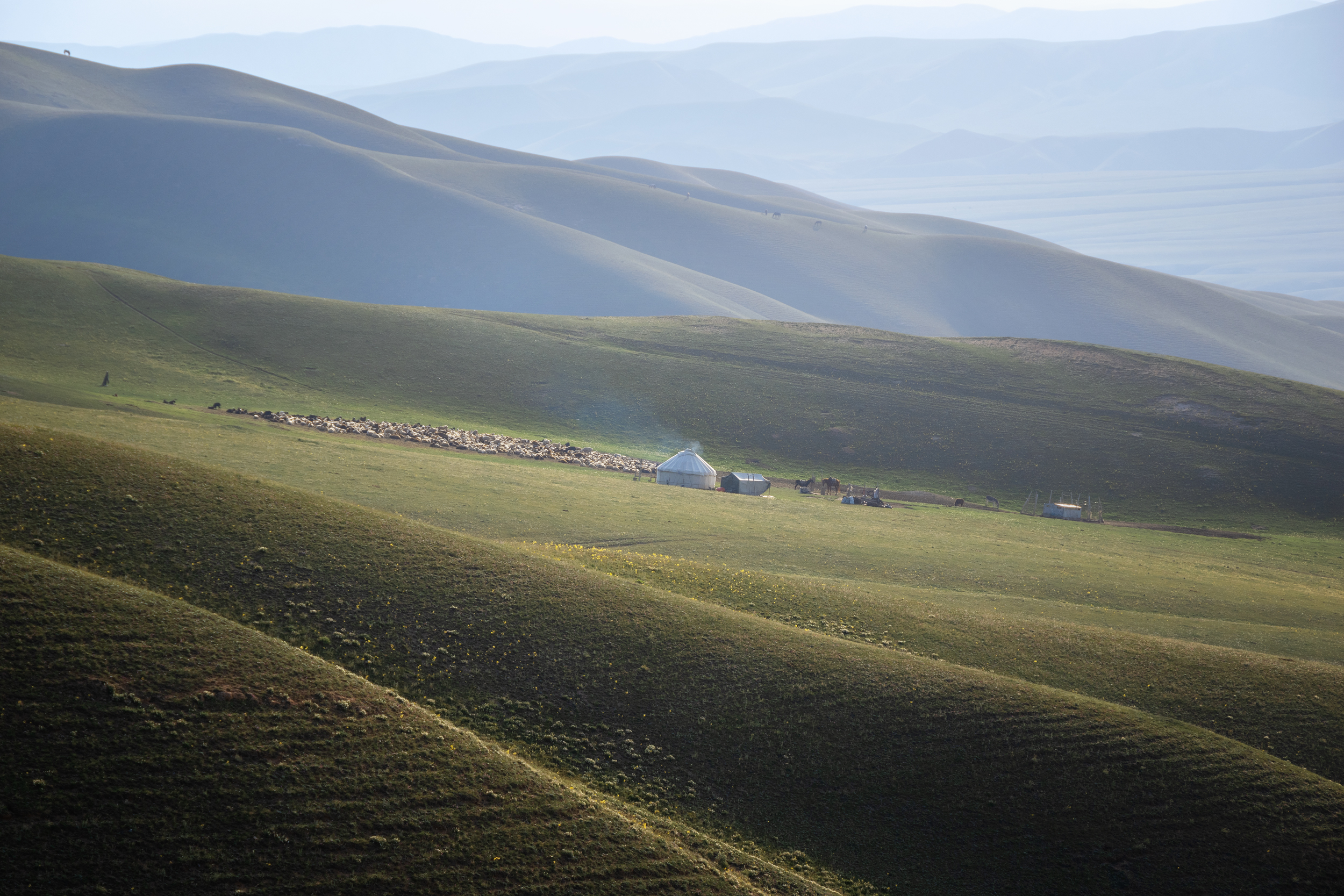 тянь-шань, горы, графика гор, пейзаж, природа, стойбище, животные, юрта, раннее утро,, Кетова Вера