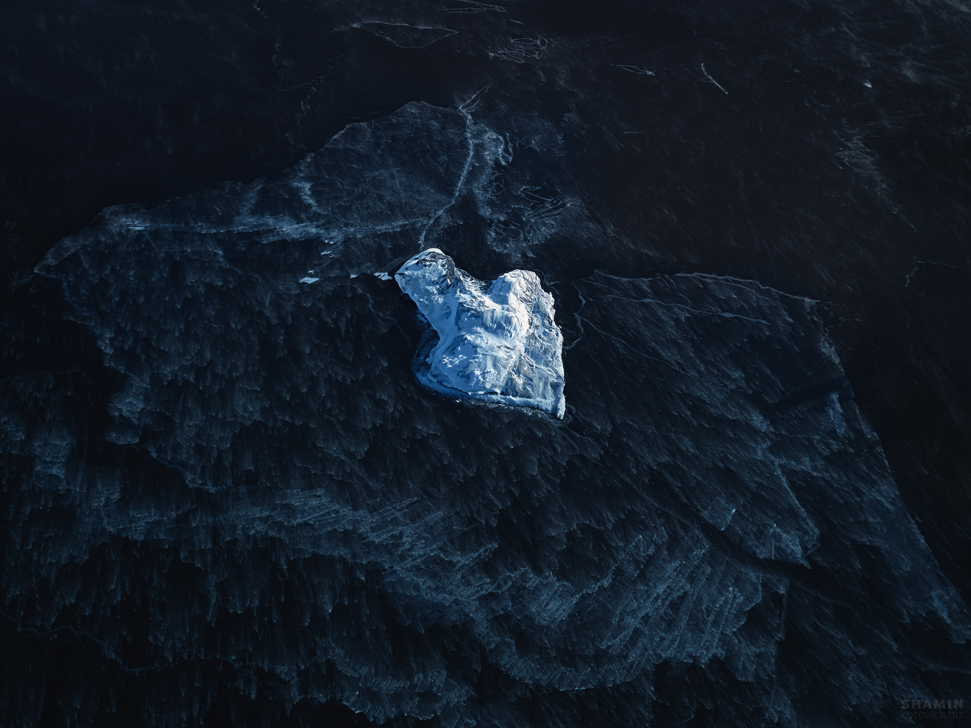 , Константин Шамин