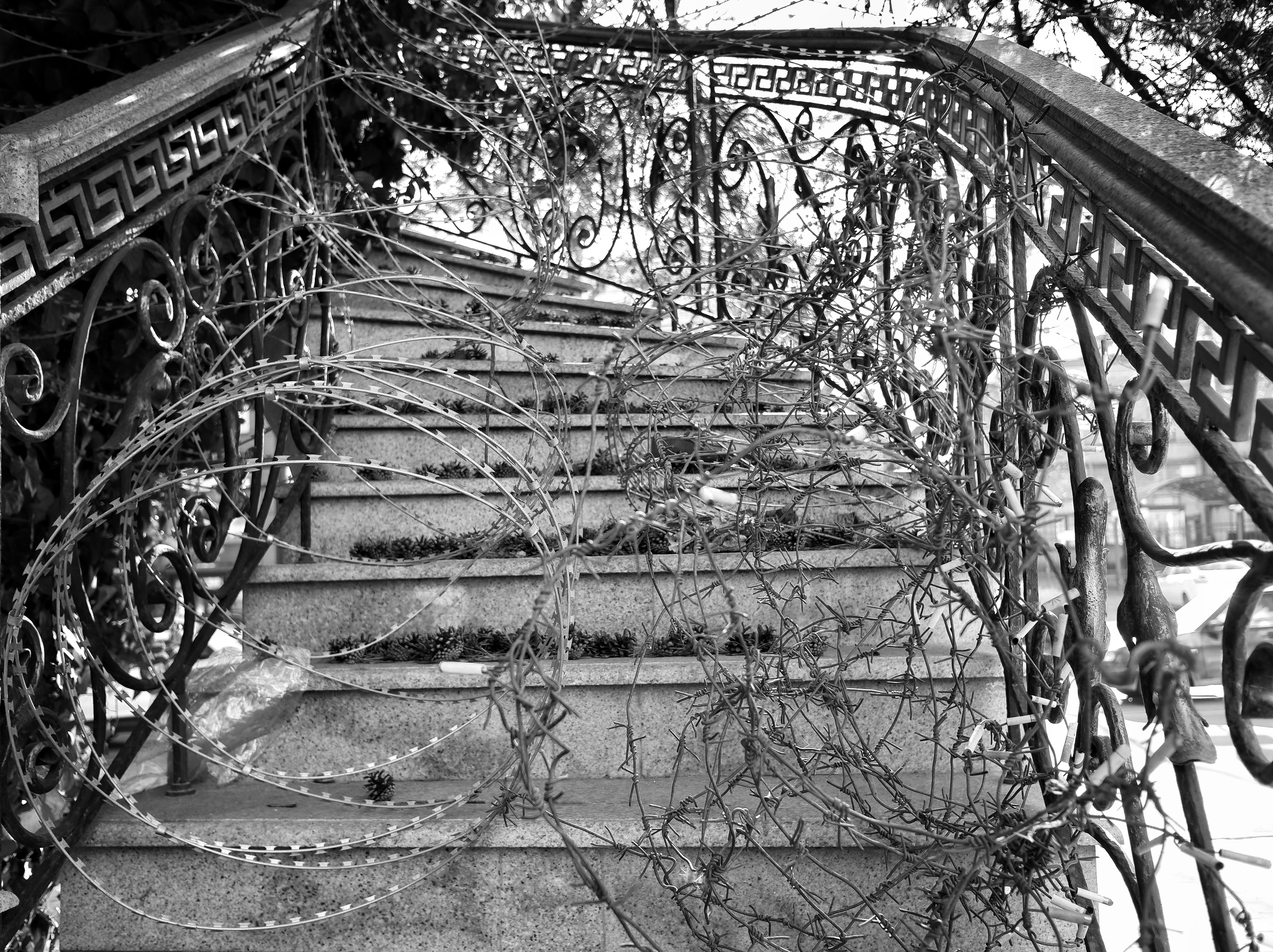 счастье, барьеры, проход., Зорин Миша