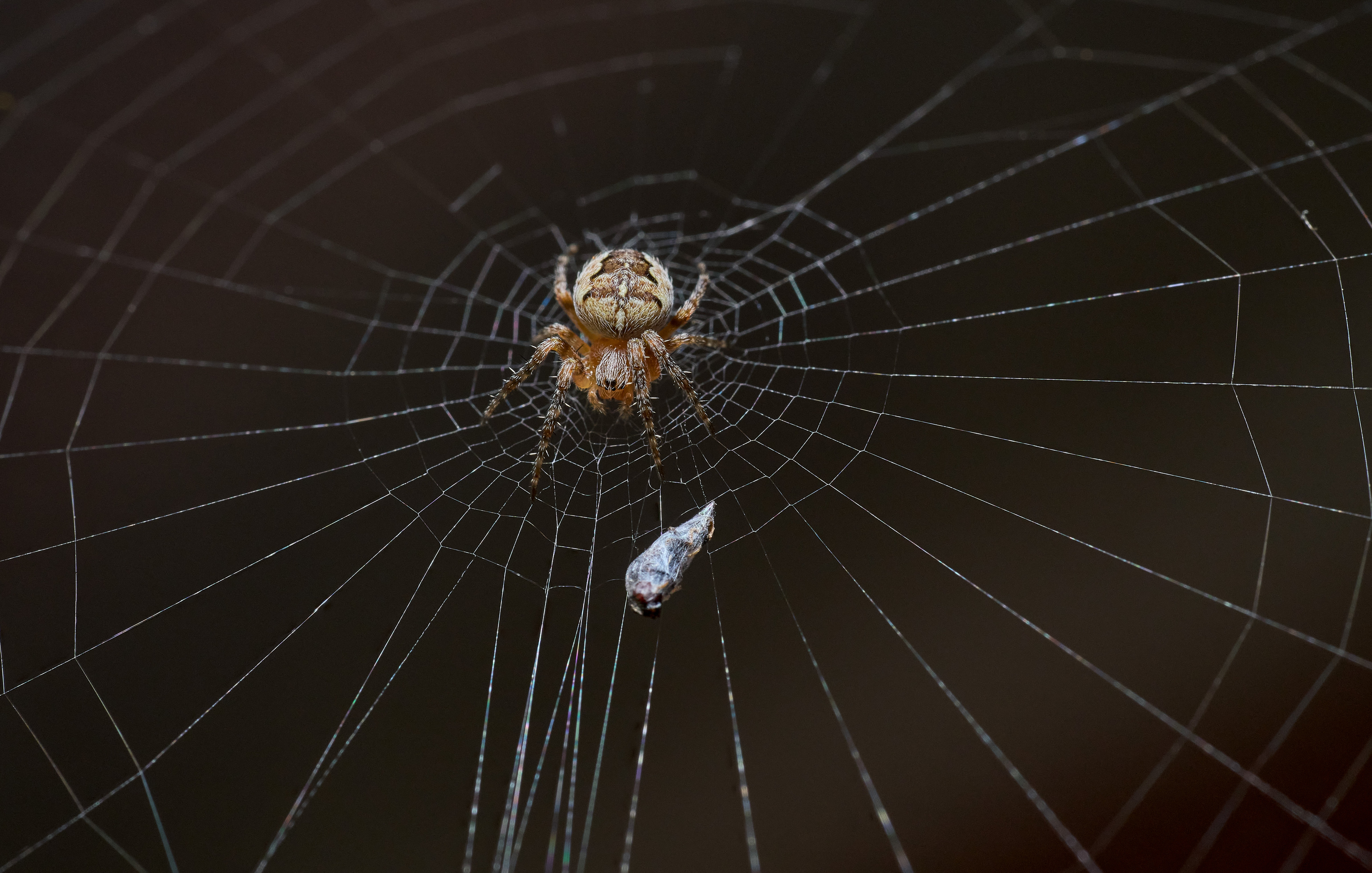 , Андрей Ткаченко