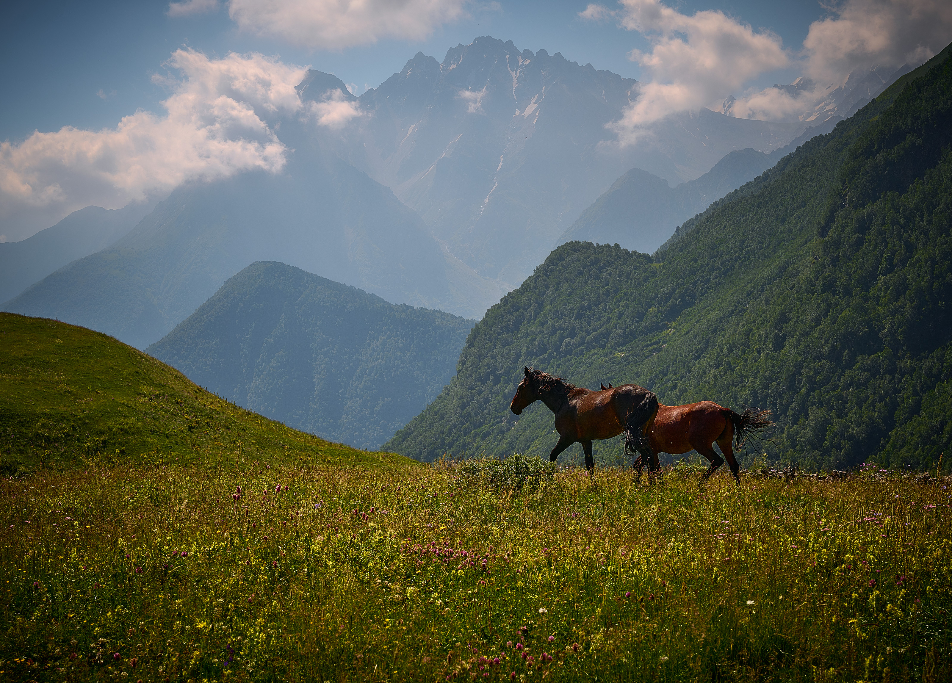 , Борис Дацковский