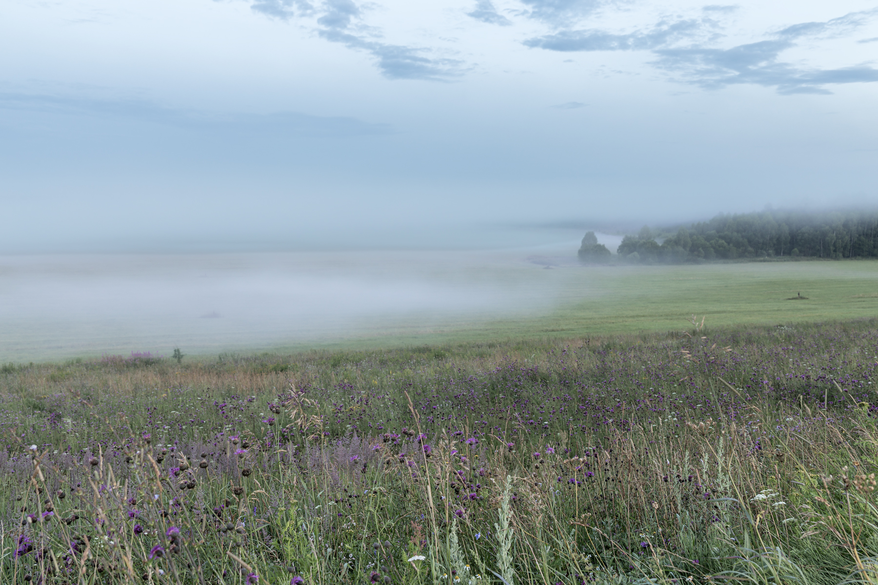 , Шурчков Юрий