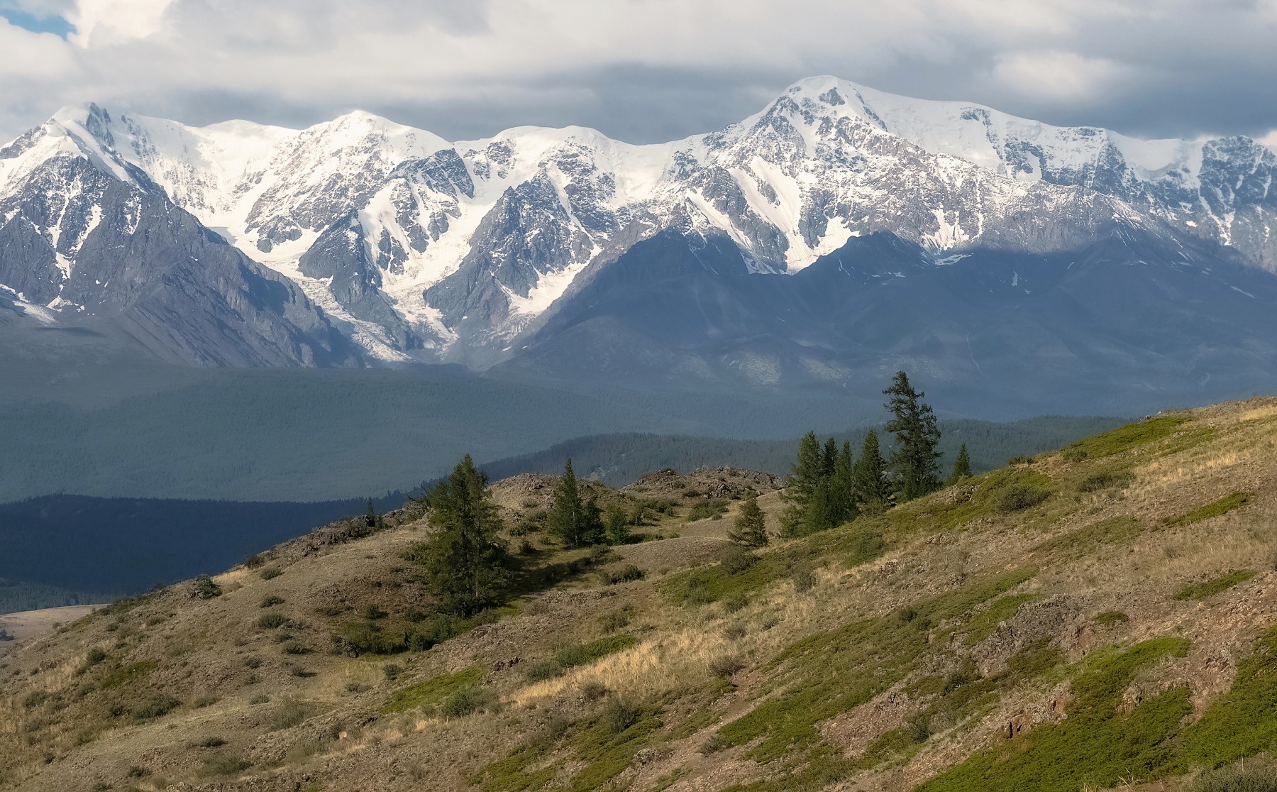 алтай, горы, северо-чуйский хребет, лиственницы, Марина Фомина
