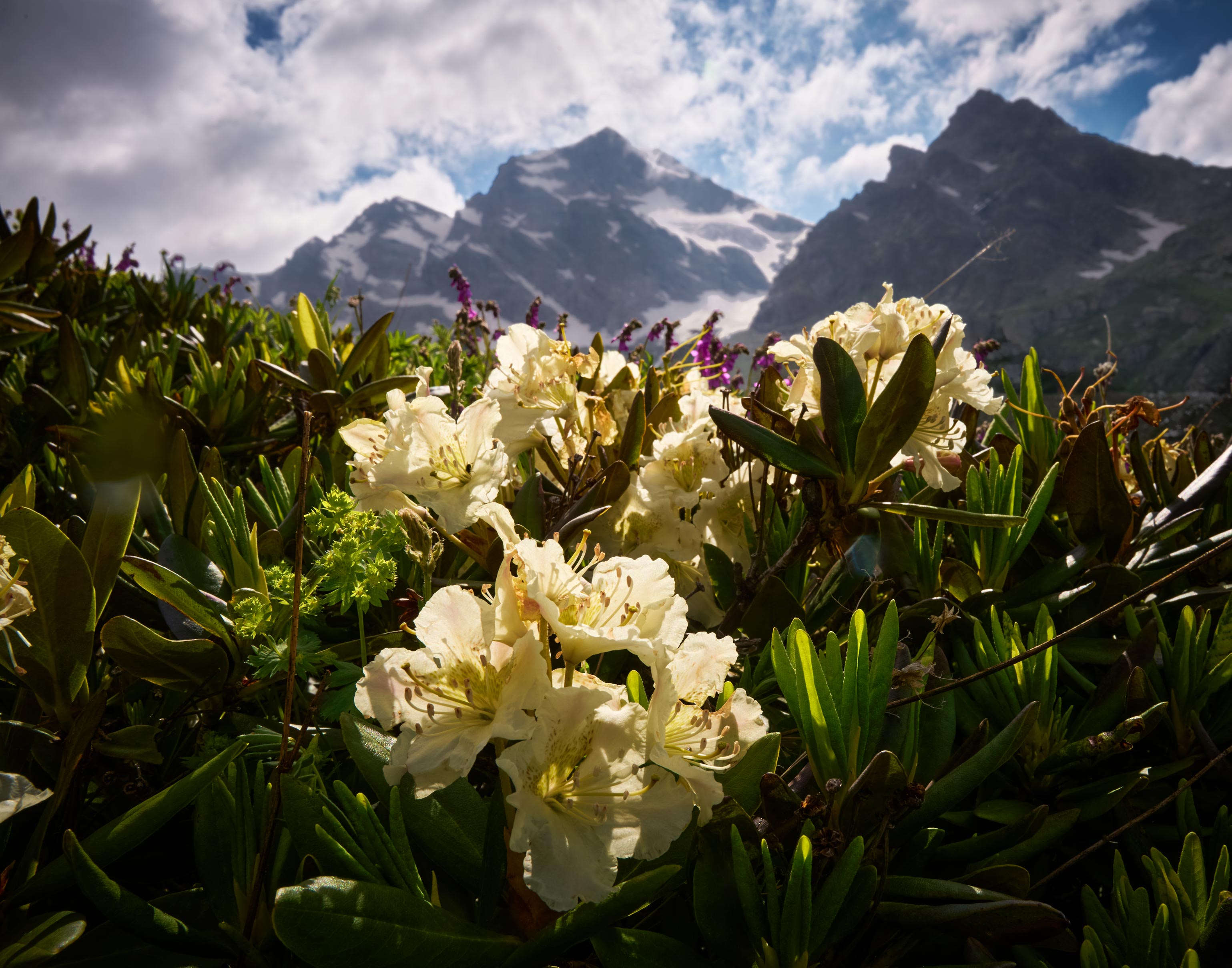 , Борис Дацковский