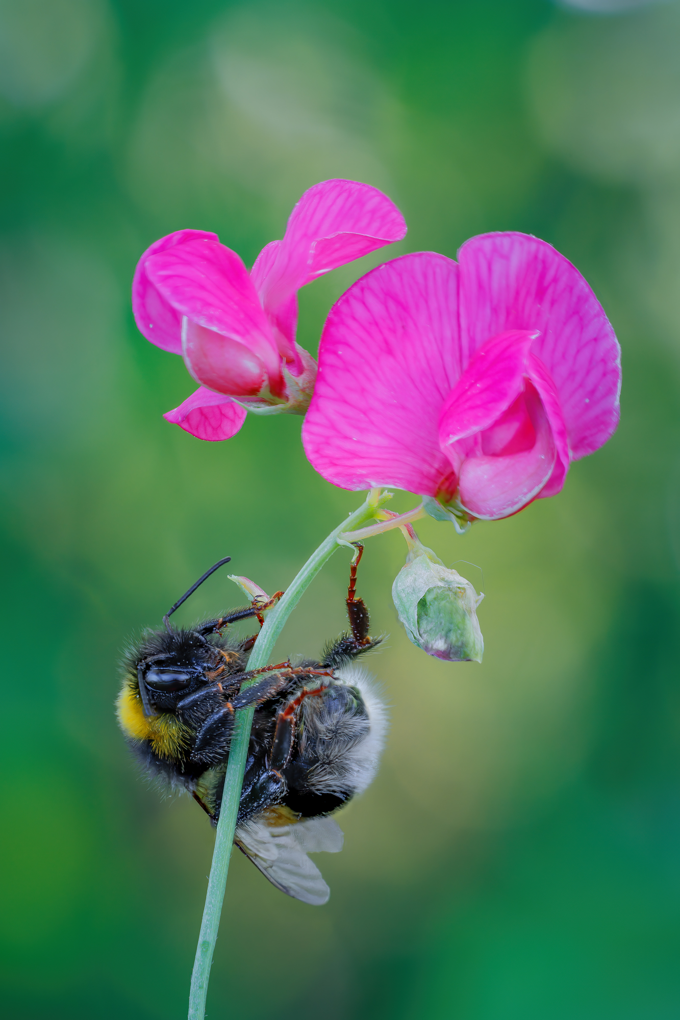 , Кузнецов Дмитрий