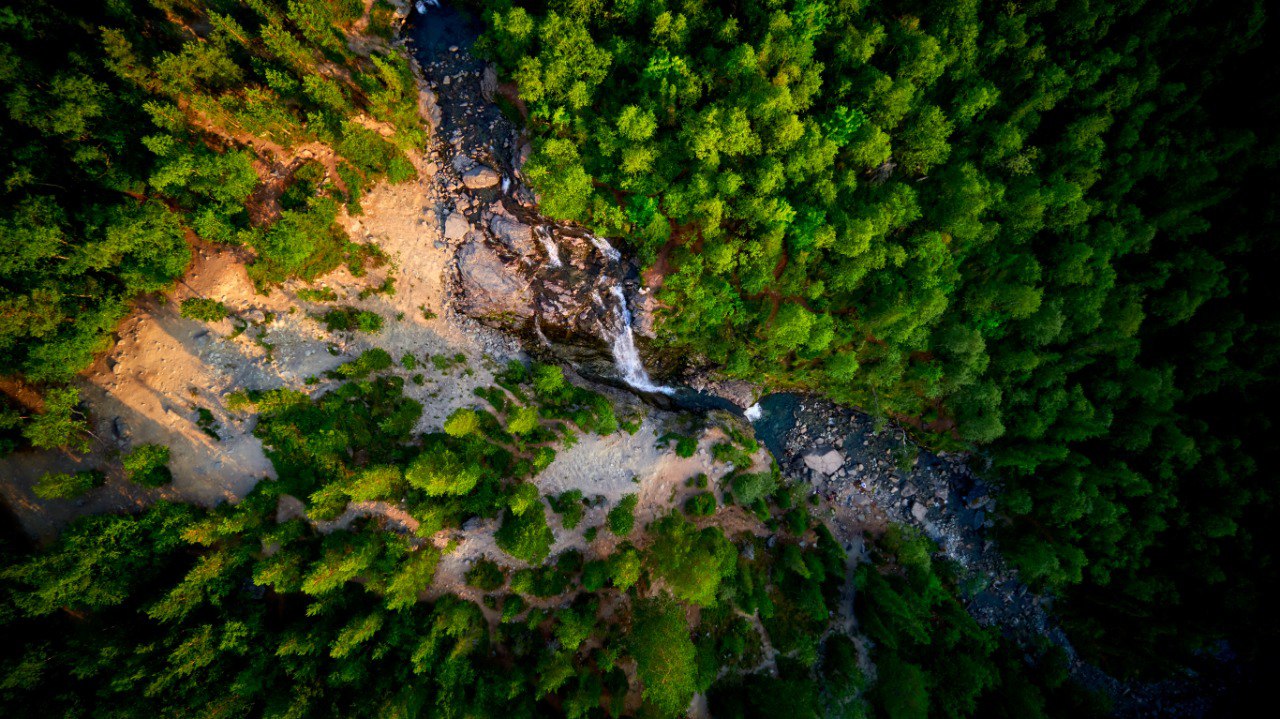 , TOTORO Алексеевич