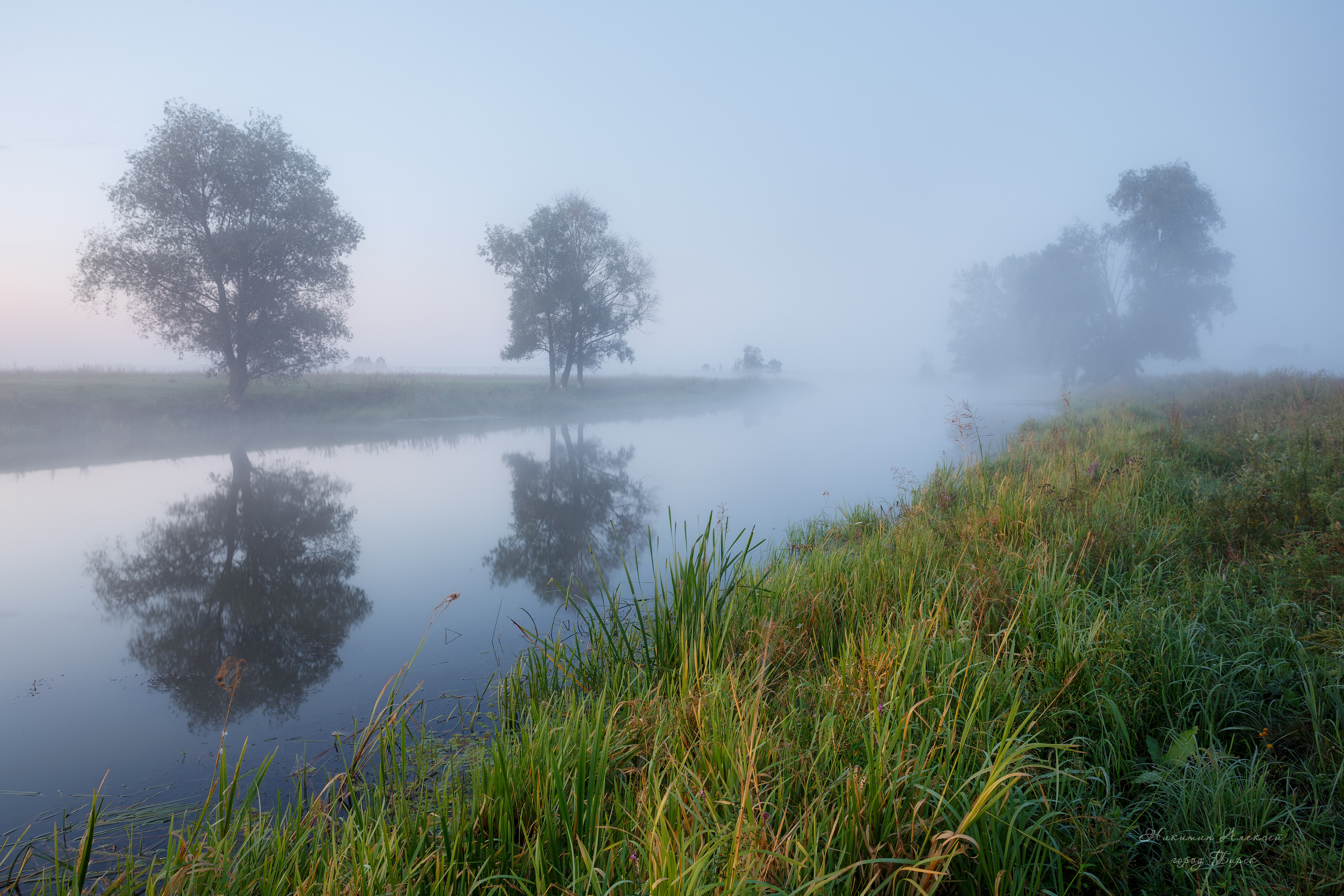 , Никитин Алексей