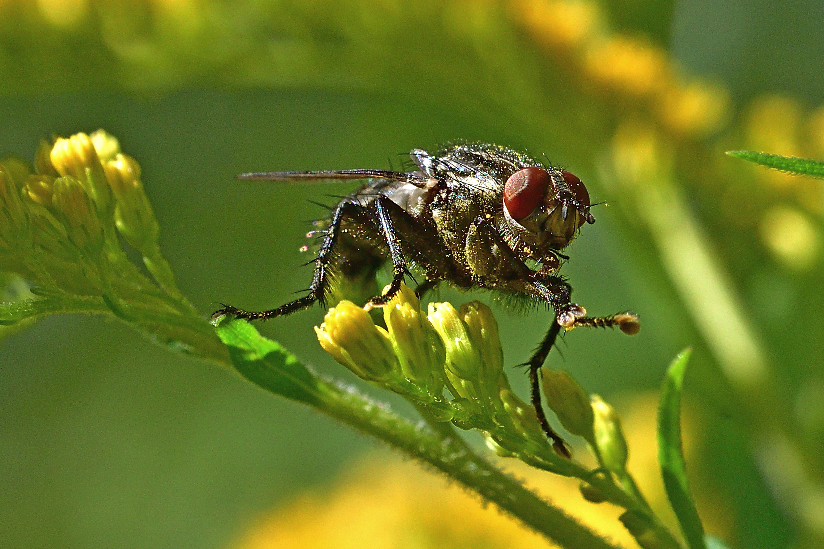 , Корнейчук Игорь