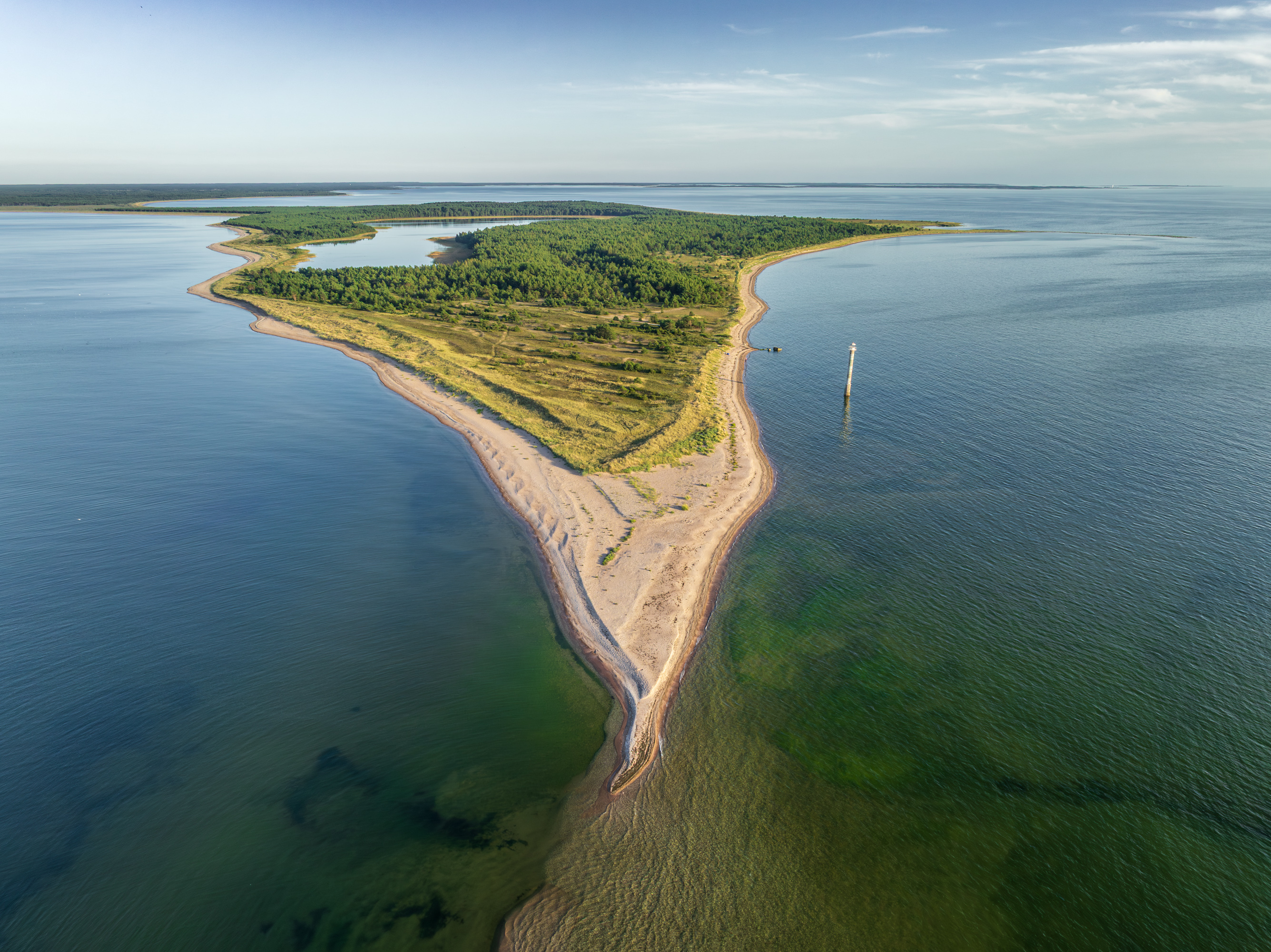 , Гордон Николай