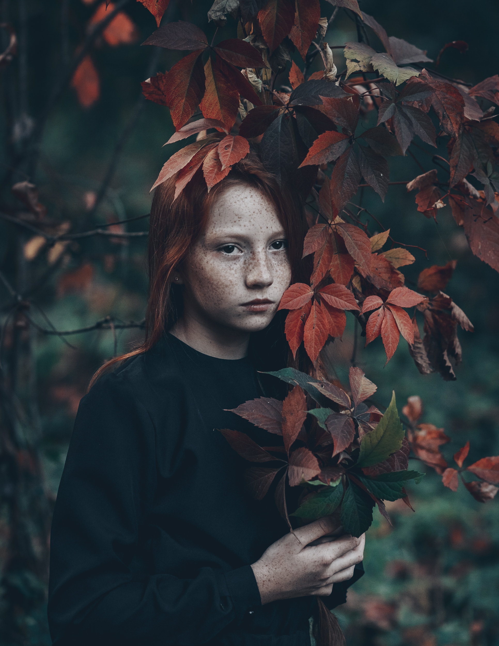 35mm, 4x5, 6x6, 6х6, 85mm, Art, Artnude, Ballerina, Ballet, Battur, Beautiful, Beauty, Canon, Canon 5D Mark III, Car, Color, Dance, Dress, Emotion, Eyes, Face, Flowers, Ganzo, Genre, GirlHair, Hero,LightLilac, Model, Mongol, Mongolia, Вероника Гергерт