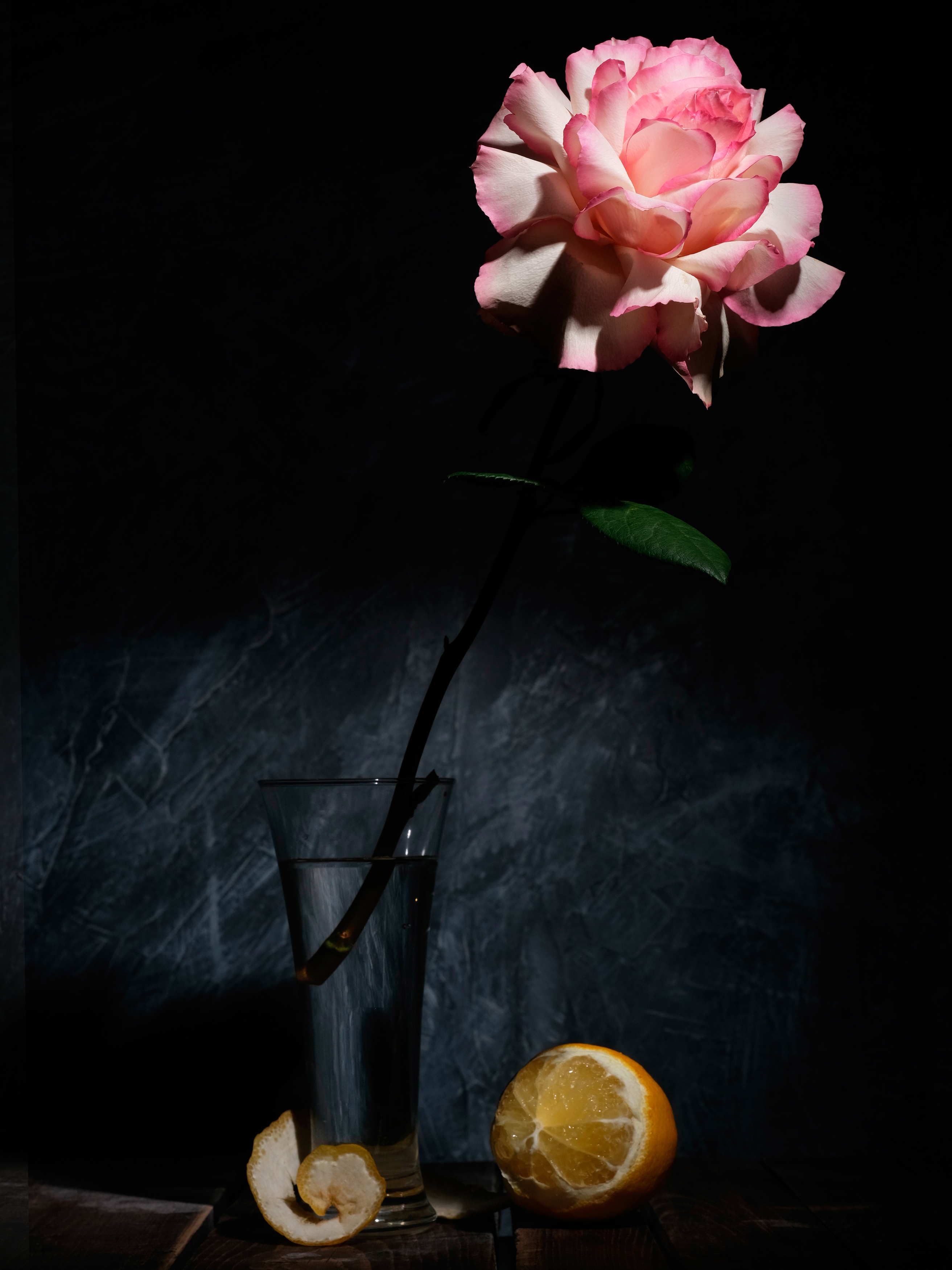 , Тим Мартынов