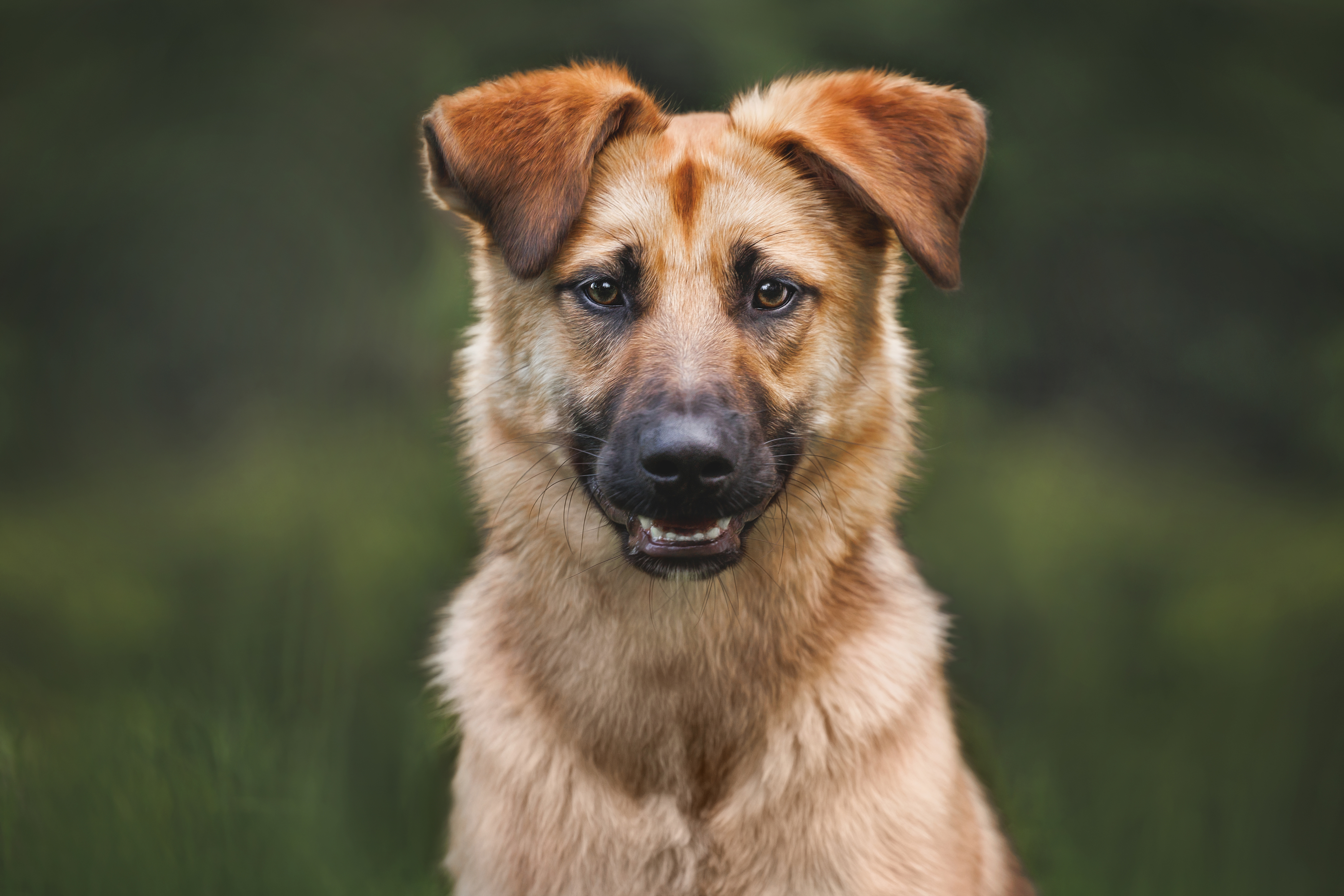 , Яна Нарбутович